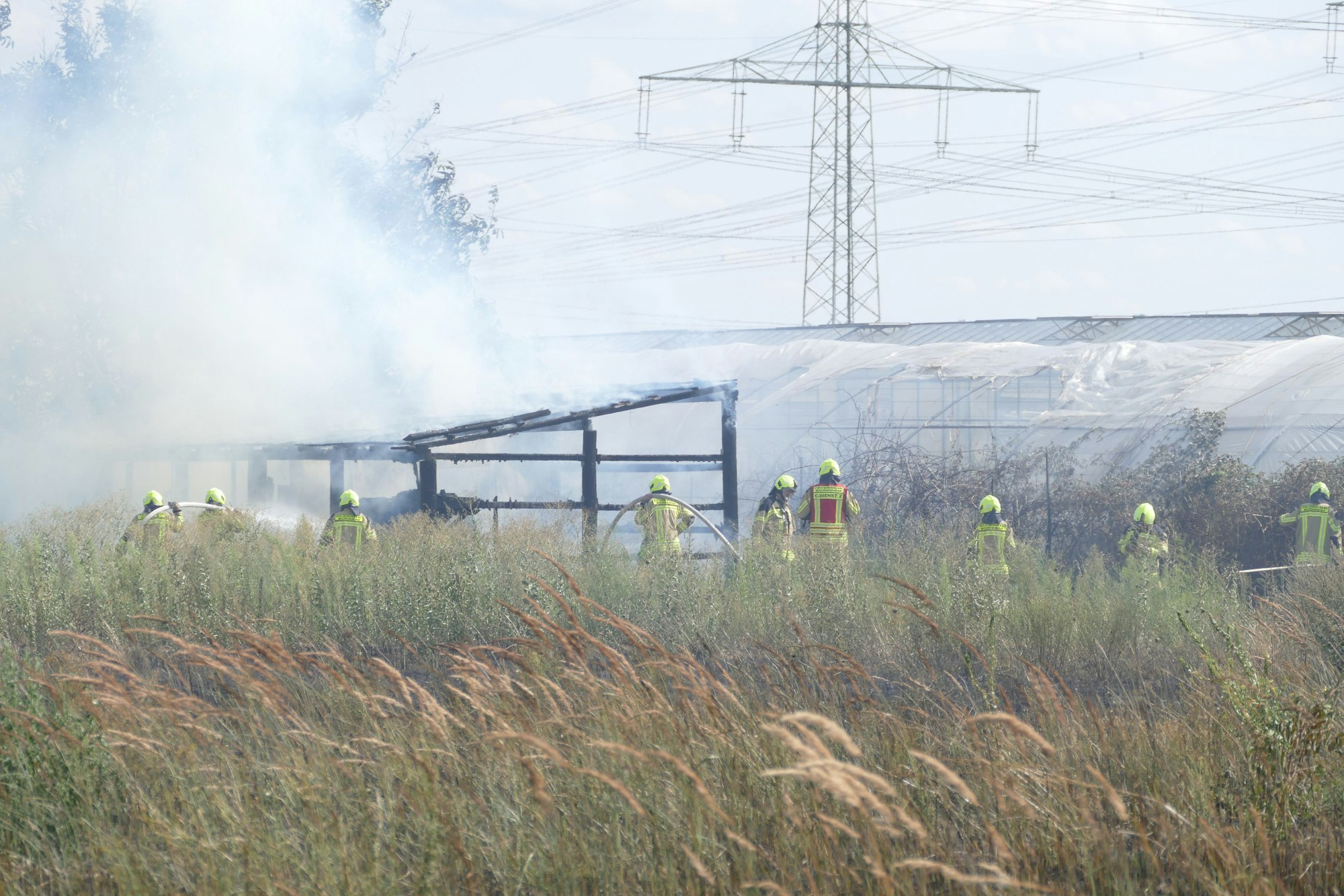 Einsatzkräfte der Feuerwehr stehen vor einem qualmenden Gewächshaus auf einem Feld.