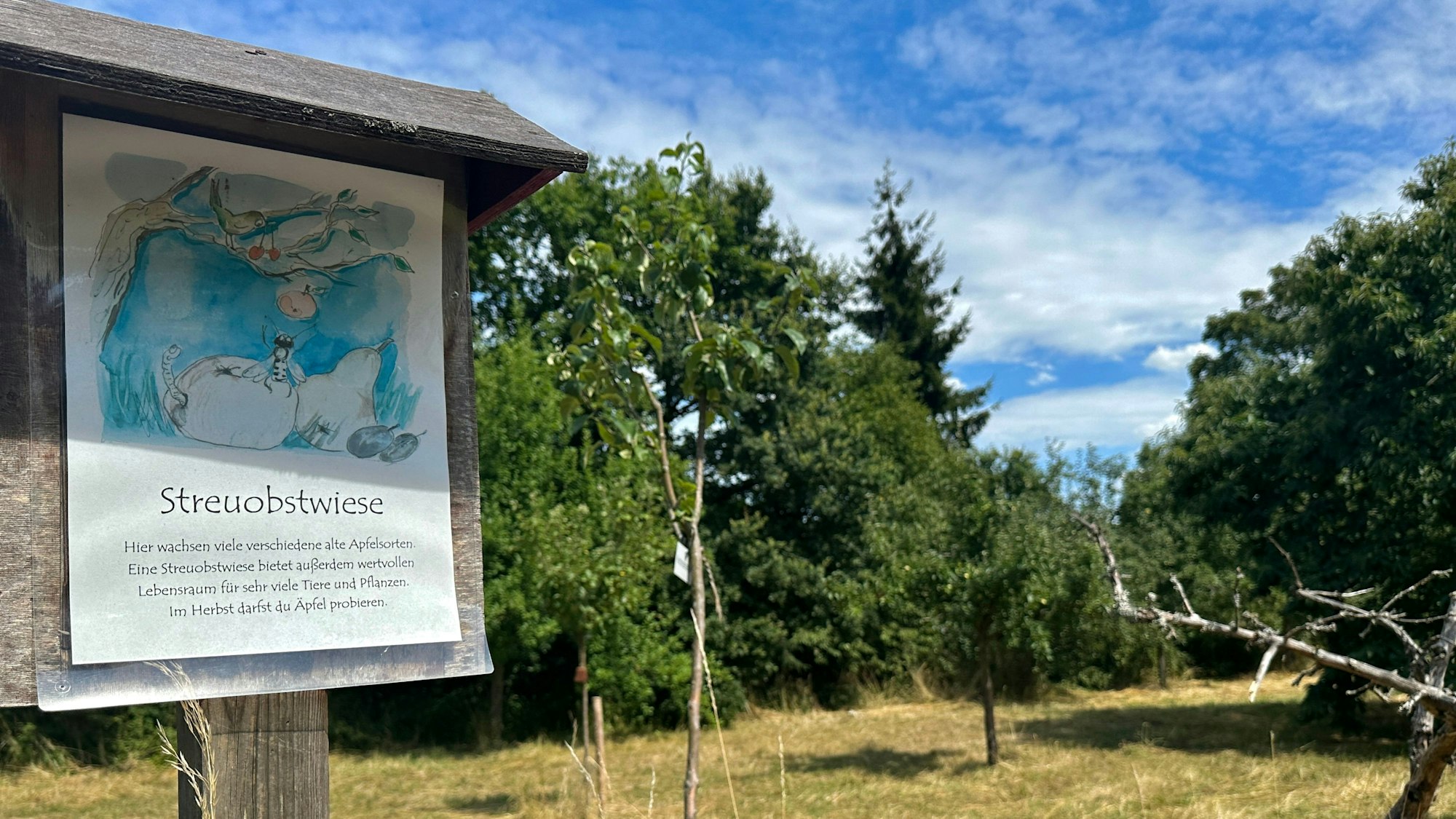 Ein Holzschild macht auf eine Streuobstwiese in Finkens Garten aufmerksam.