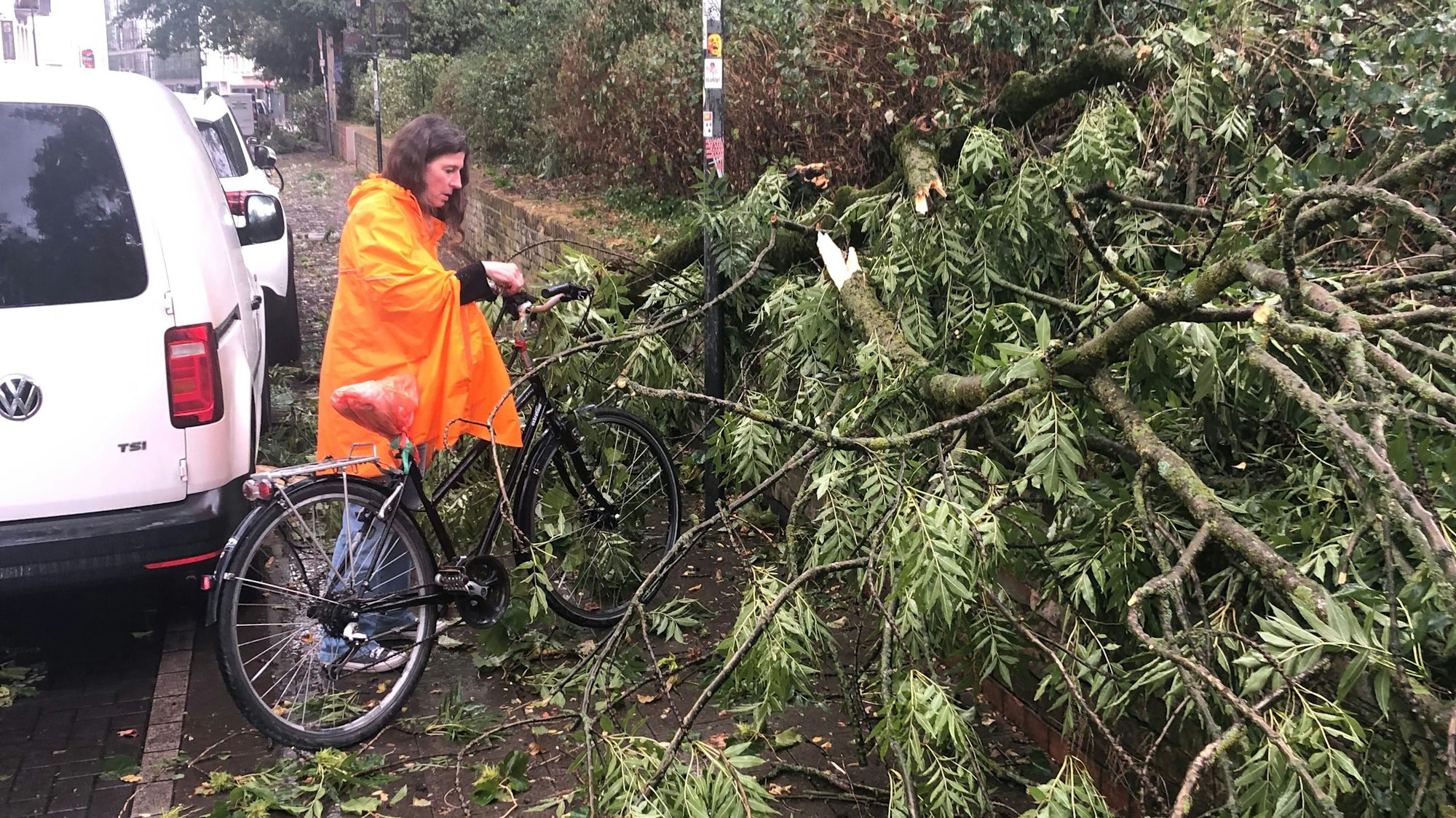 Eine Anwohnerin musste ihr Fahrrad unter einem umgestürzten Baum hervorziehen.