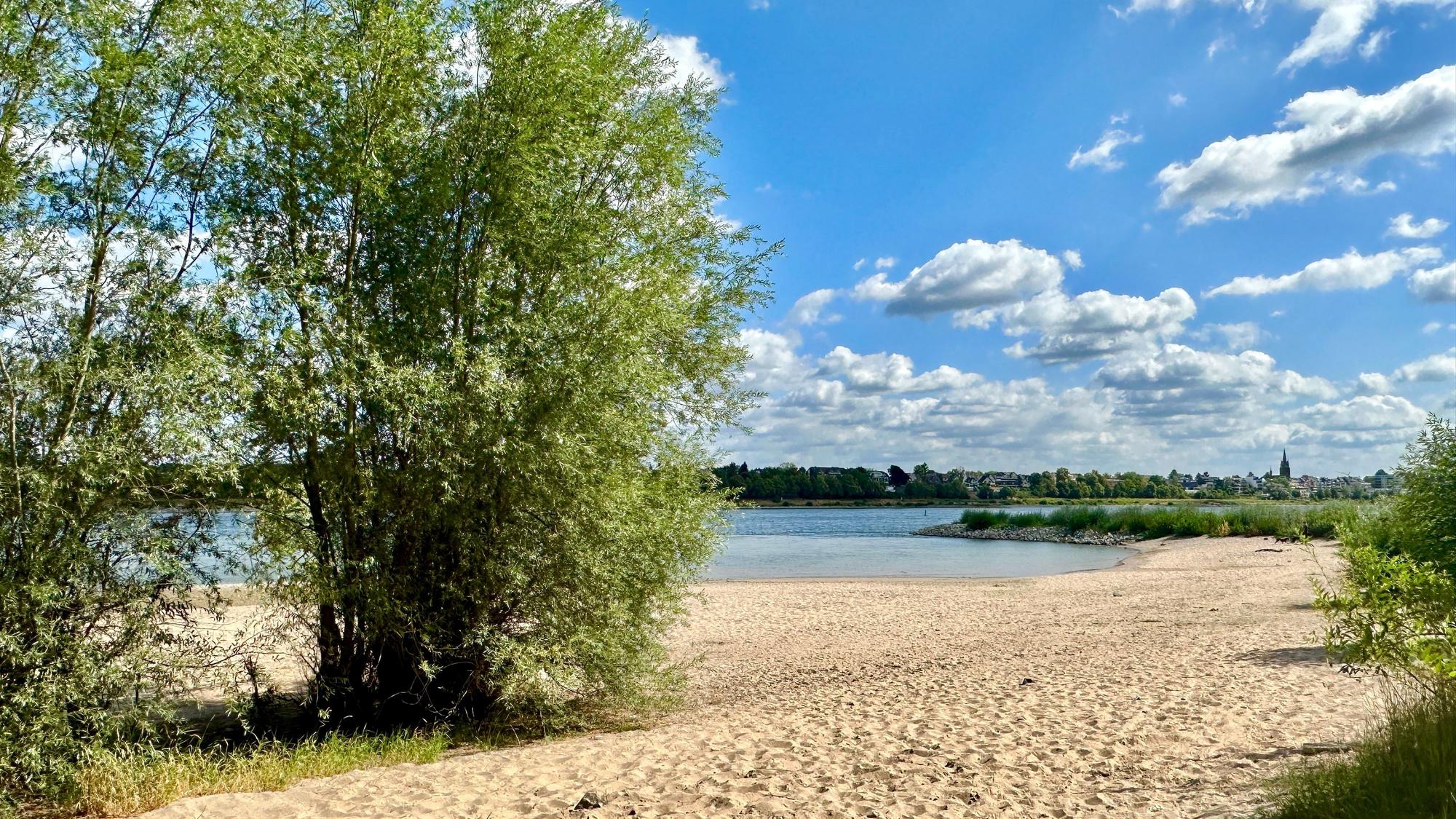 Das Rheinufer im Kölner Süden, auch Rodenkirchener Riveria genannt, bietet Sandstrände und Rheinblick.