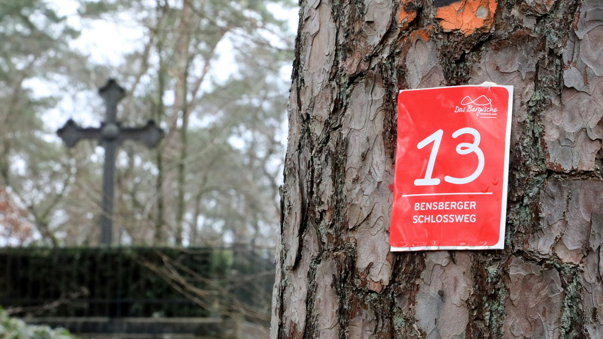 Auf dem Schlossweg werden Erinnerungen an die WM wach. wg