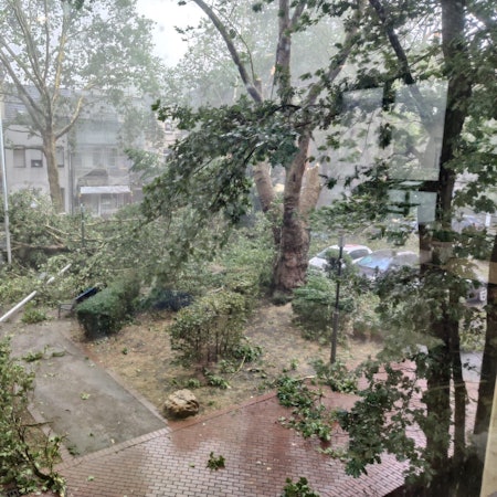 Das Bild zeigt den Vorplatz vom Rathaus. Mehrere Bäume und Äste liegen auf dem Platz.