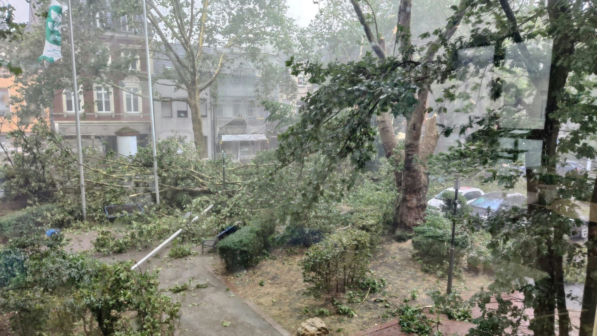 Das Bild zeigt den Vorplatz vom Rathaus. Mehrere Bäume und Äste liegen auf dem Platz.