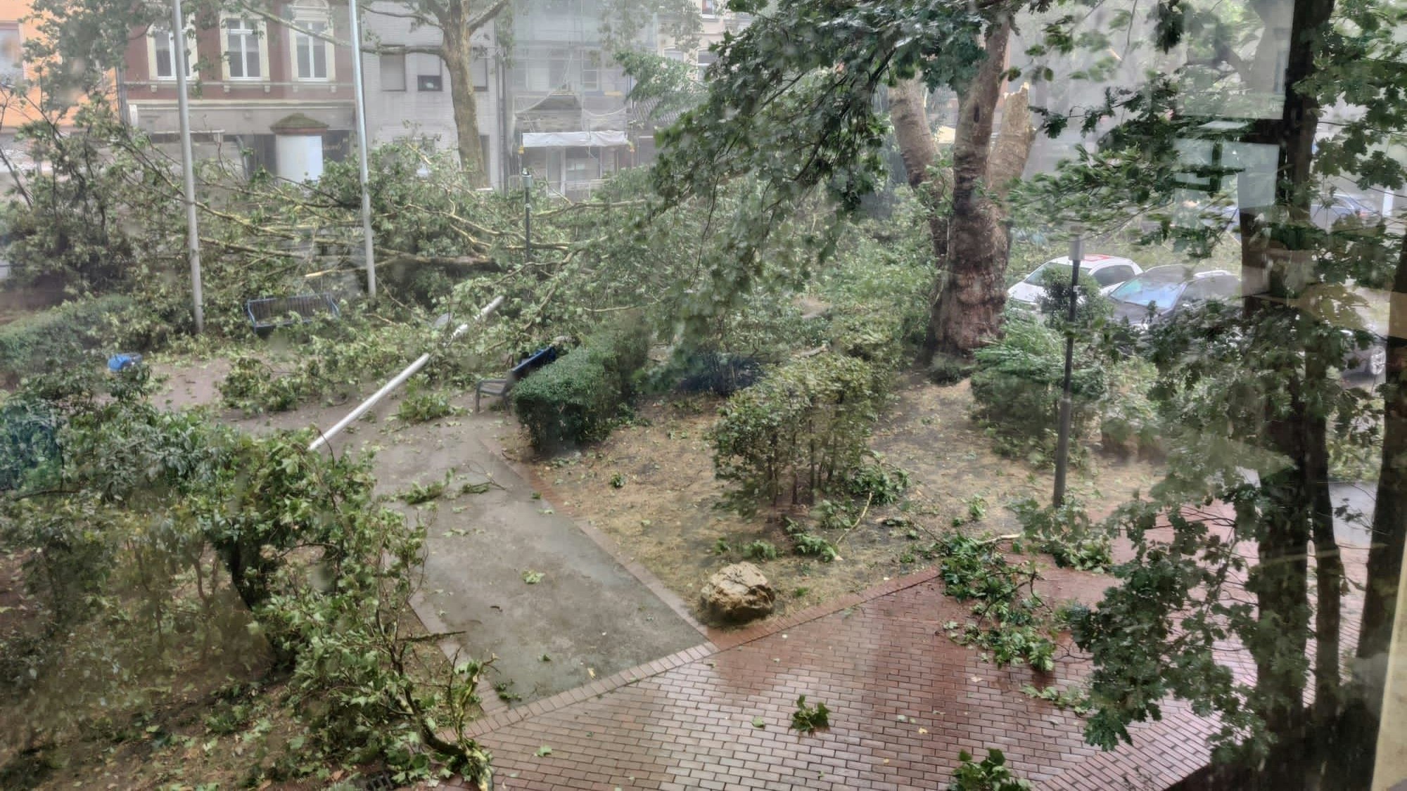 Auf dem Bild sind umgestürzte Bäume zu sehen.