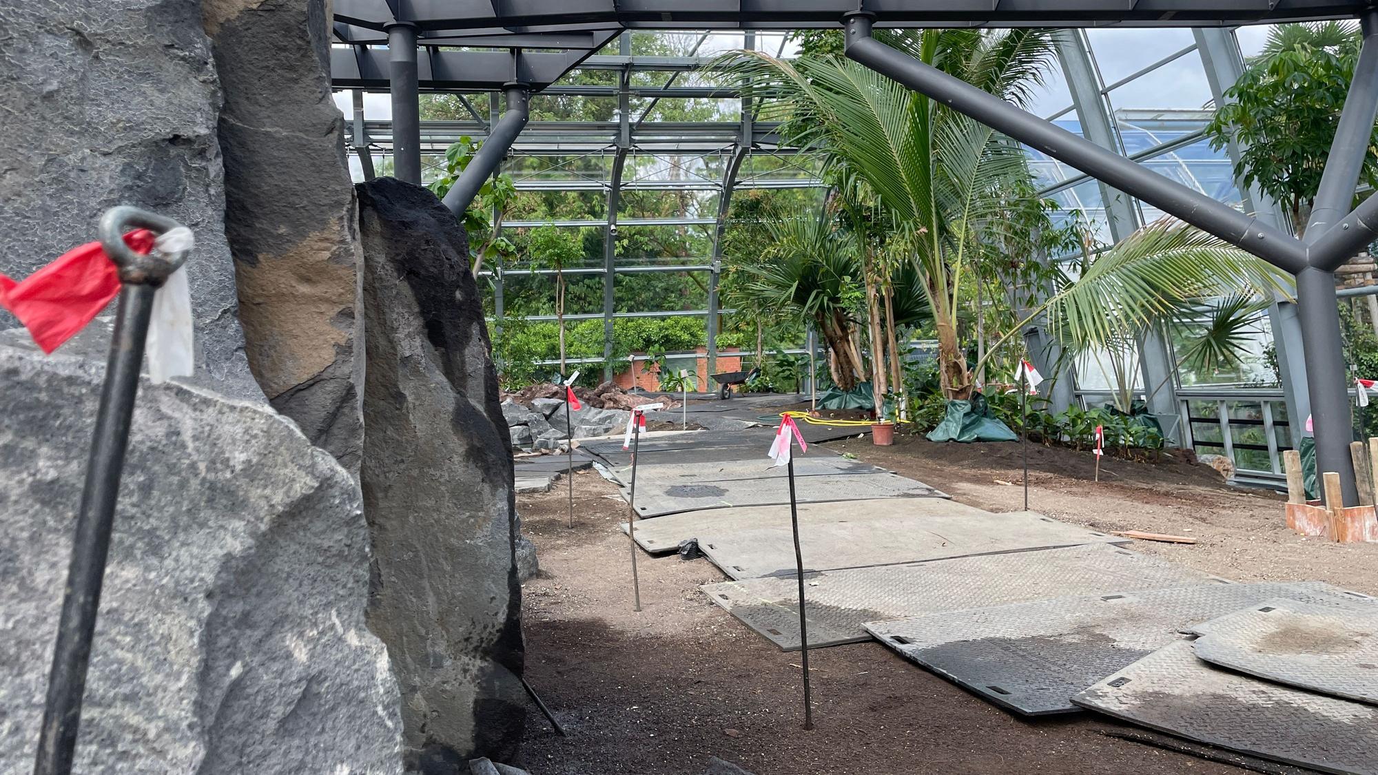 Noch viel zu tun gibt es im Tropenhaus. Die Standorte der neuen Großpflanzen sind mit Metallstäben markiert.