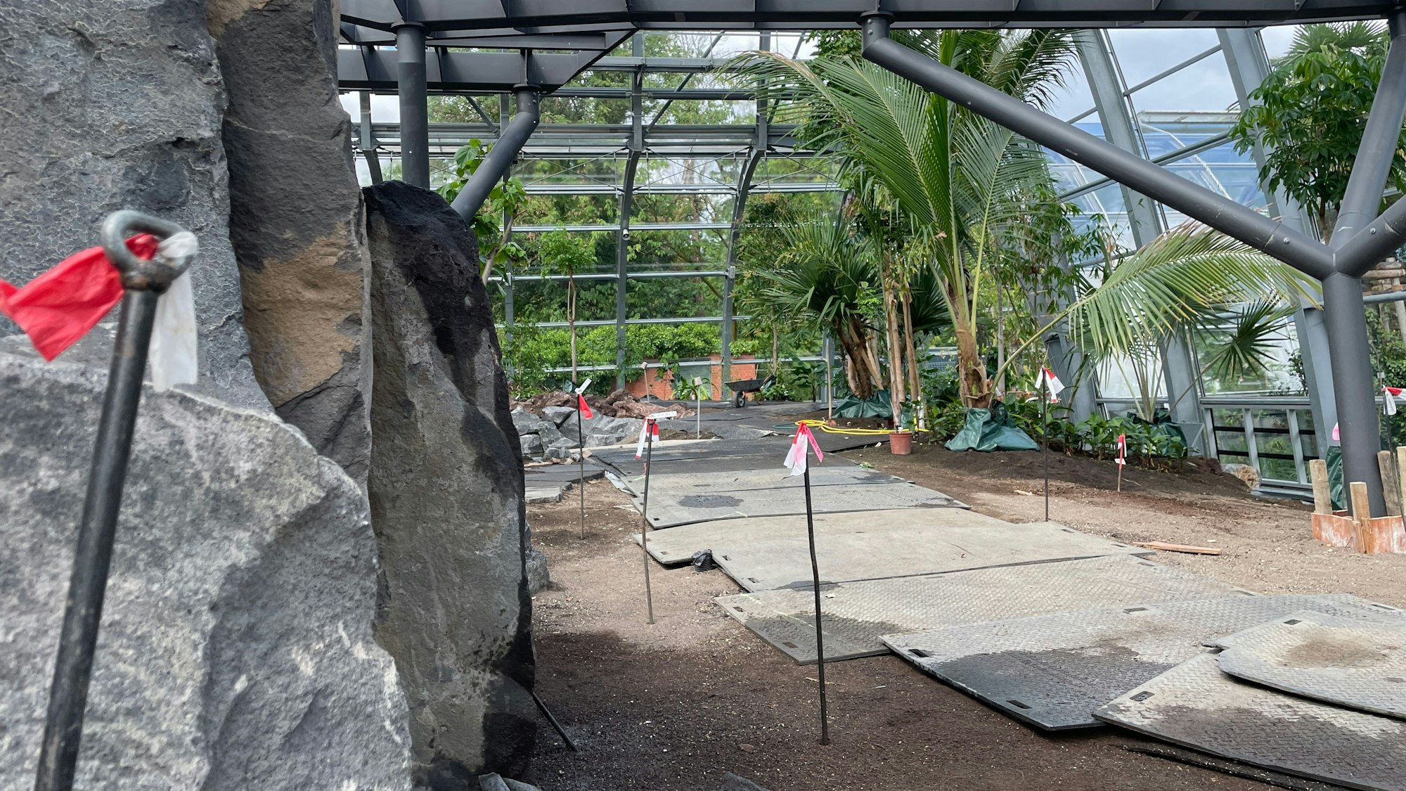 Noch viel zu tun gibt es im Tropenhaus. Die Standorte der neuen Großpflanzen sind mit Metallstäben markiert.