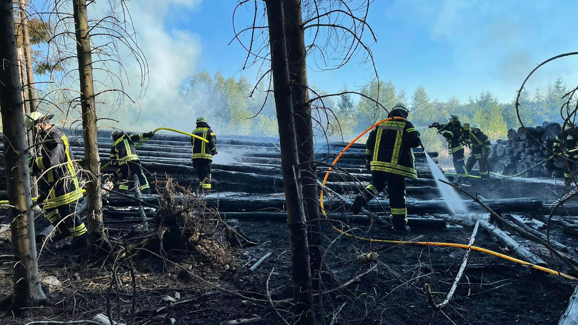Mehrere Feuerwehrleute versuchen mit Wasserschläuchen einen brennenden Holzstapel im Wald zu löschen.