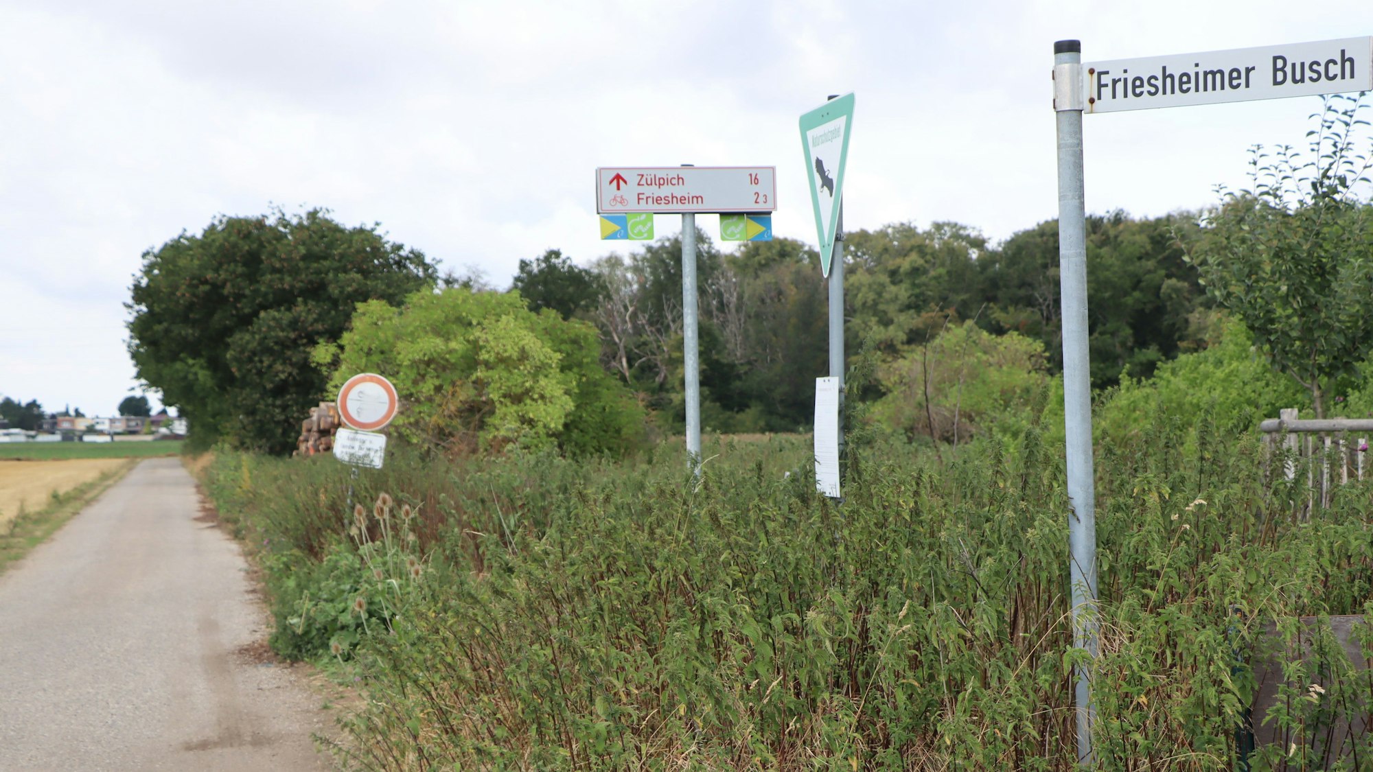 Das Foto zeigt die Stelle, an der die tote Ricke gefunden worden war. Es handelt sich um einen landwirtschaftlichen Weg.