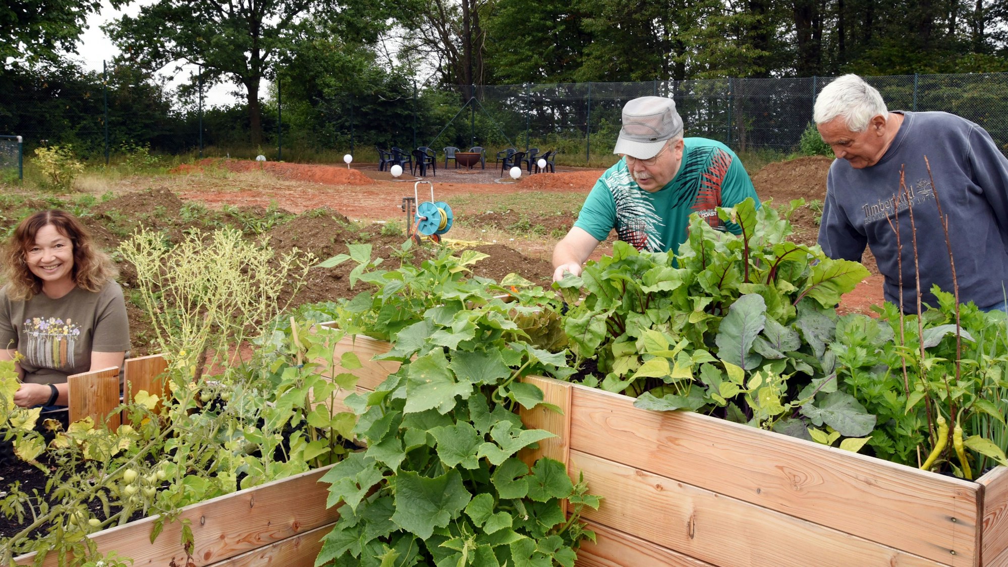 Zu sehen sind Menschen, die in Hochbeeten gärtnern.