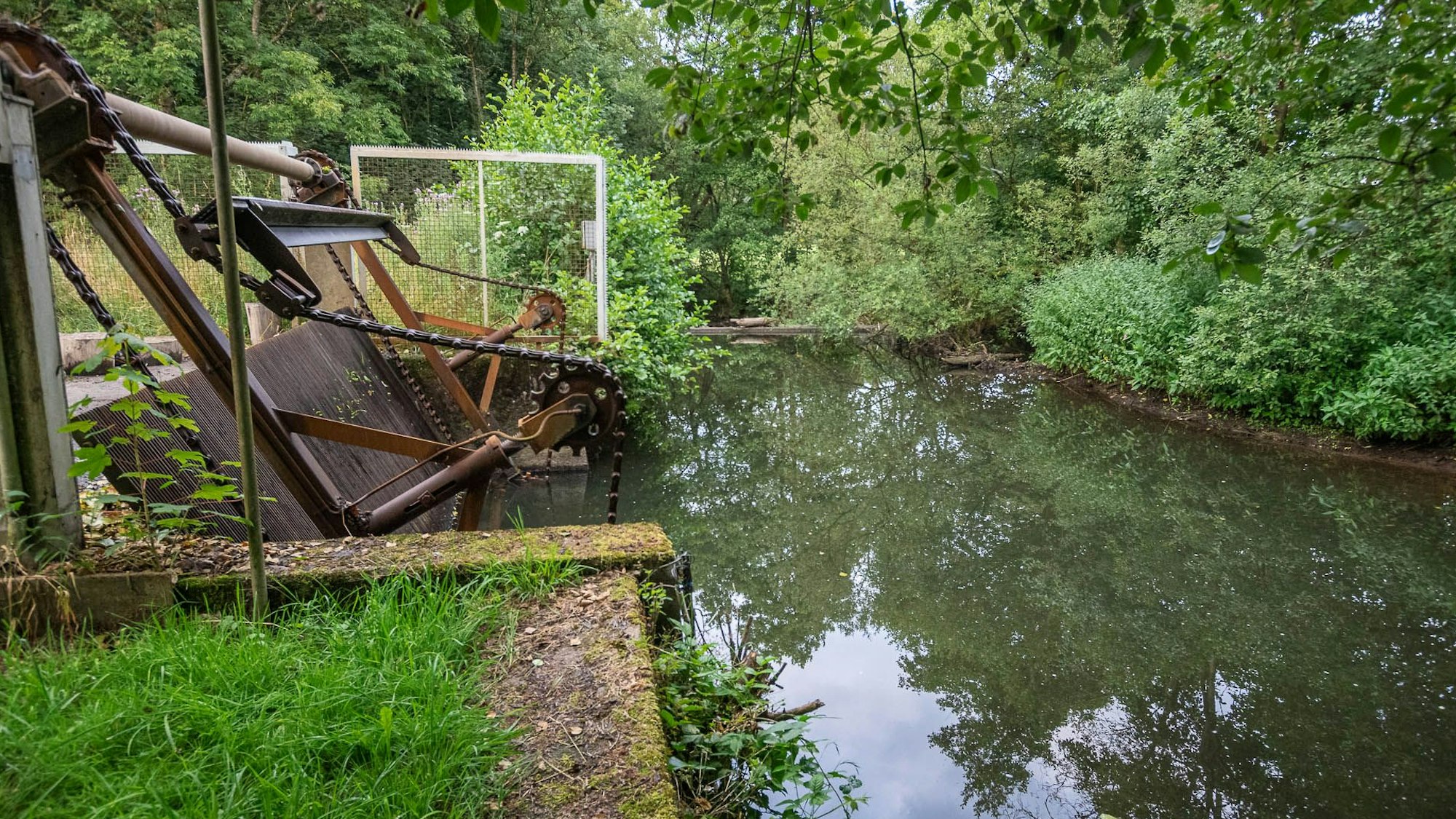 Zu sehen sind die Wiehl und ein Wehr, das einen Nebengraben öffnet.