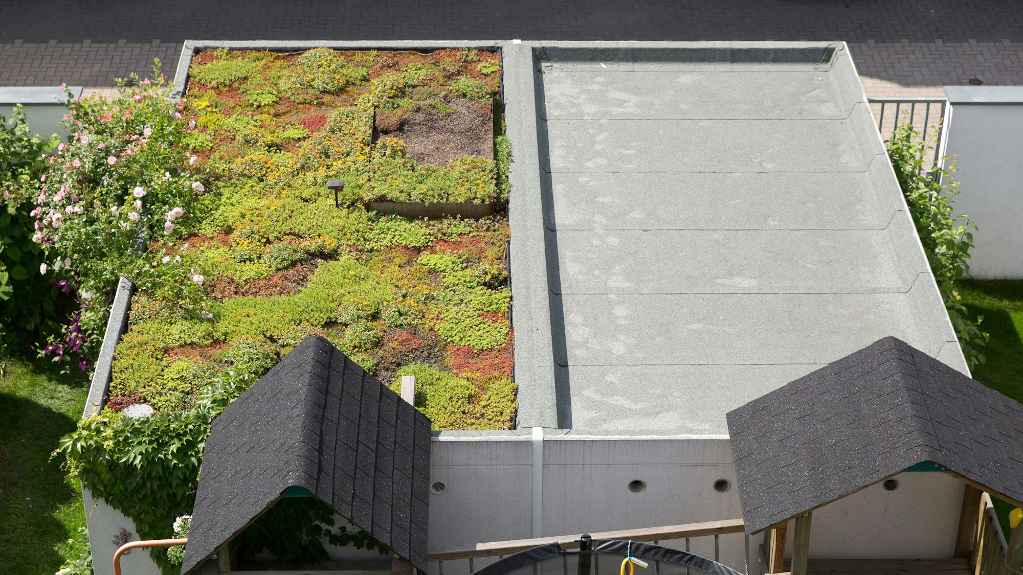 Das Foto zeigt eine begrünte Garage.