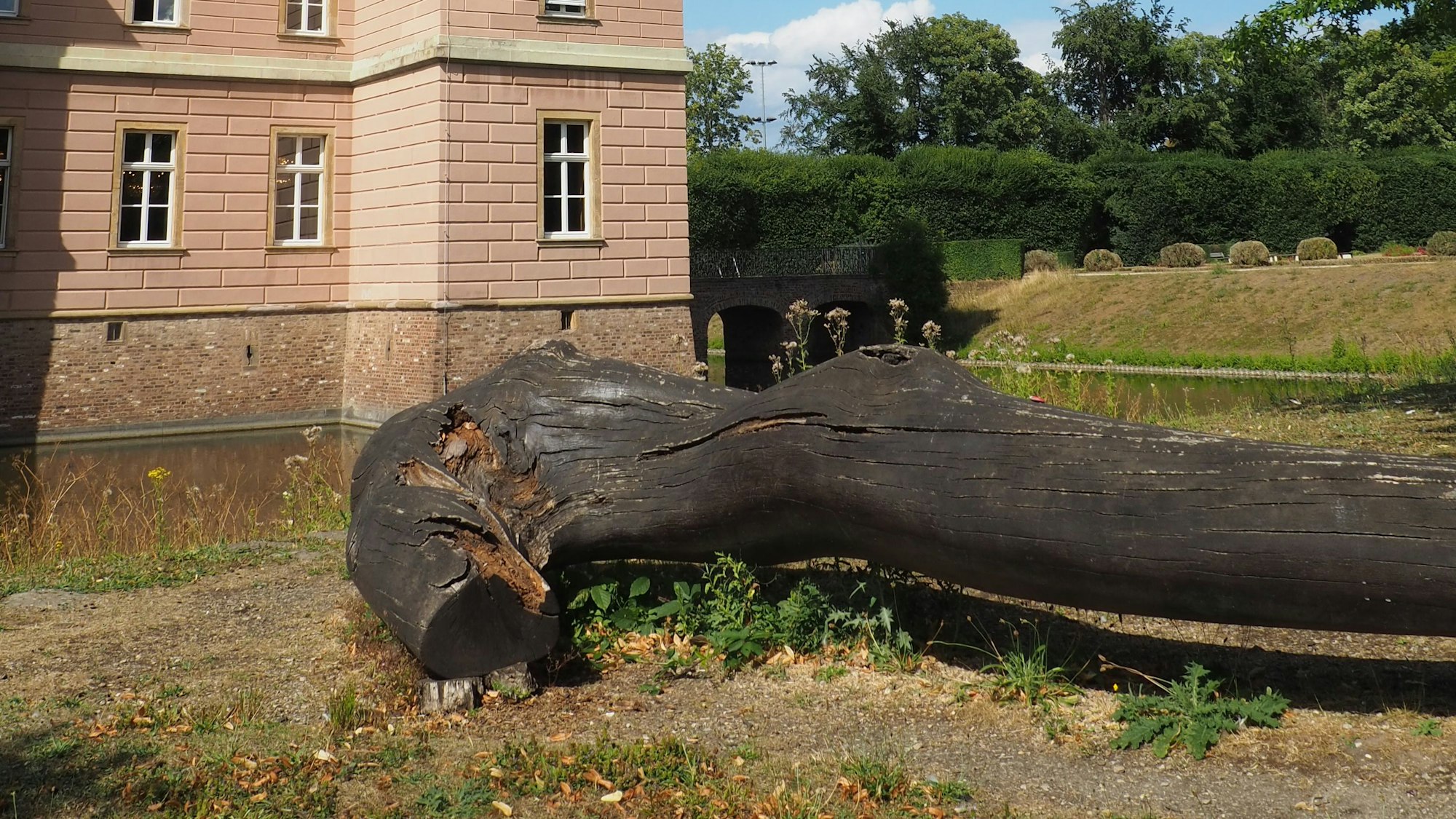 Ein alter Baumstamm liegt am Wassergraben eines Schlosses.