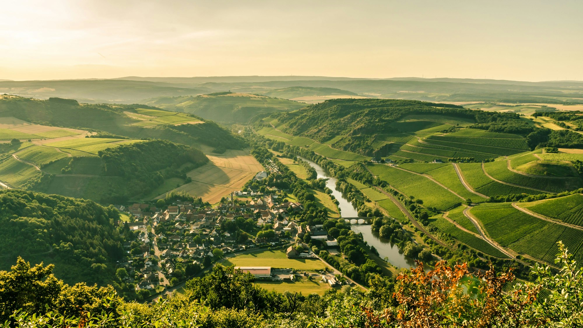 Panoramablick über das Nahetal mit Weinbergen und der Stadt Oberhausen an der Nahe an einem Sommerabend.