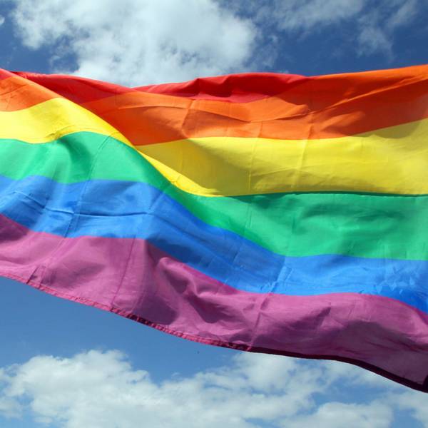 Die Regenbogenfahne weht im Wind. (Symbolbild)