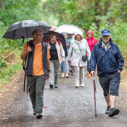 Gesundheitswanderführer wandert mit einer Gesundheitswandergruppe auf einem Schotterweg.