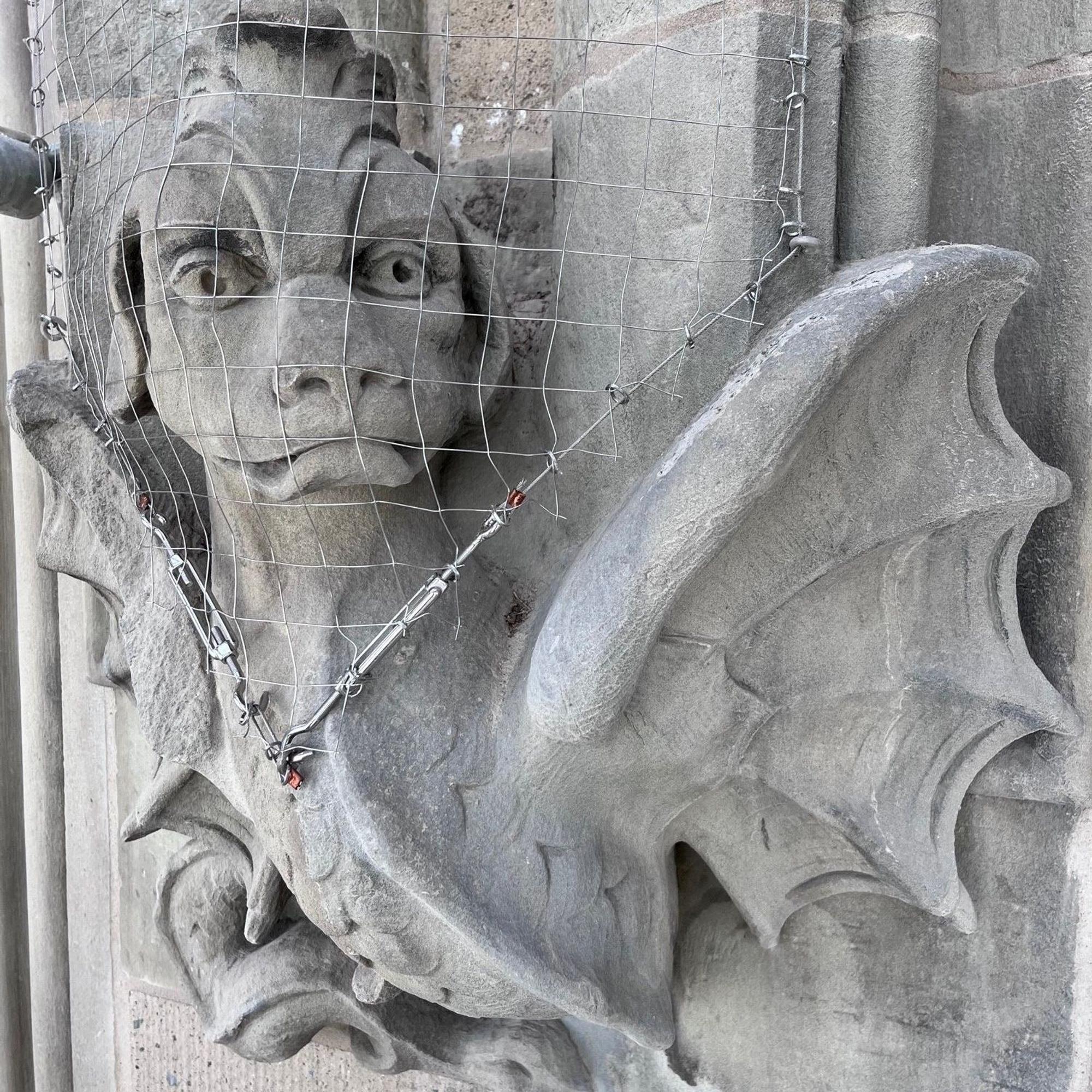 Dieser Drache ist eine der gotischen Figuren, die die Fassade des Altbaus prägen. Das Gitter ist neu und soll vor allem verhindern, dass sich Vögel an der Figur einnisten.