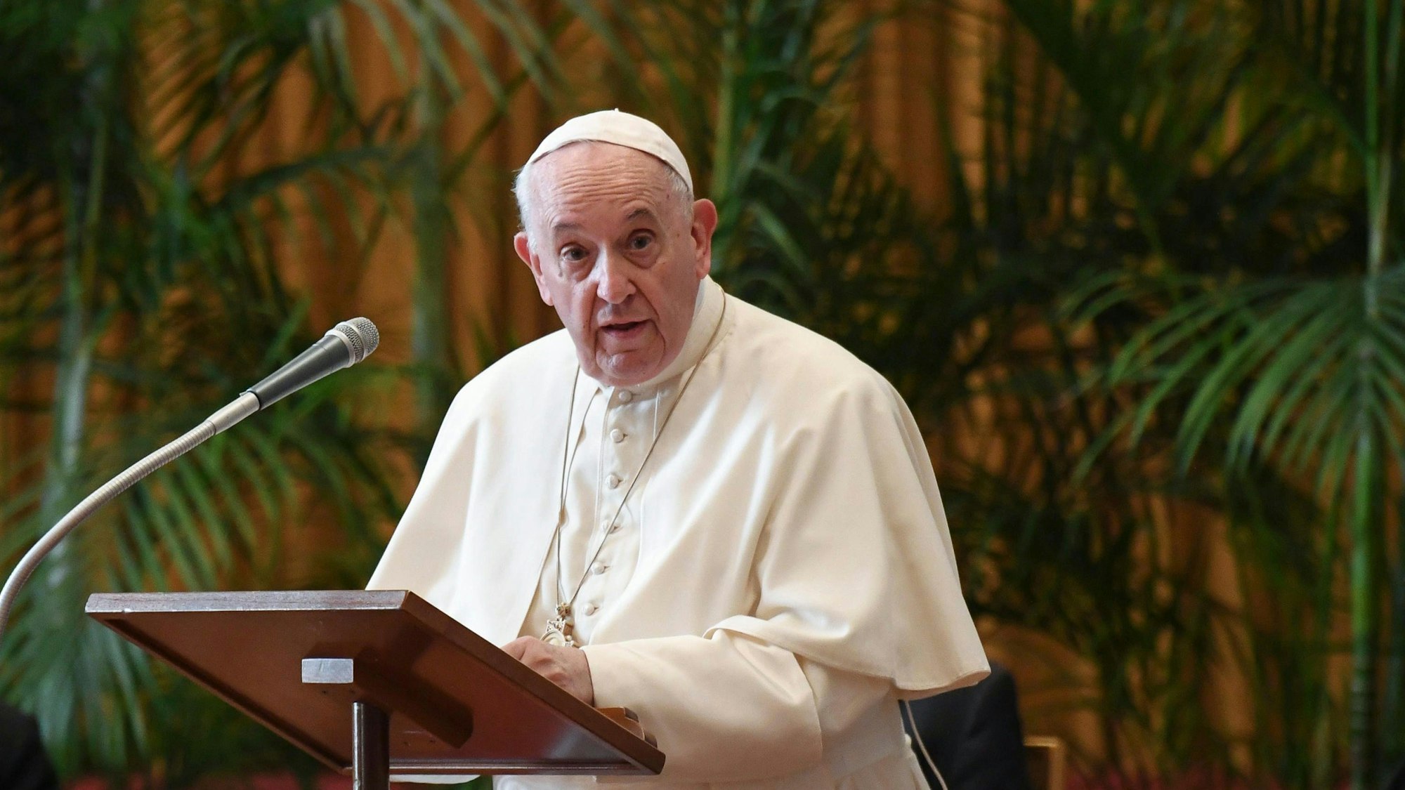 Vatikan, Vatikanstadt: Papst Franziskus spricht im Vatikan während einer Konferenz