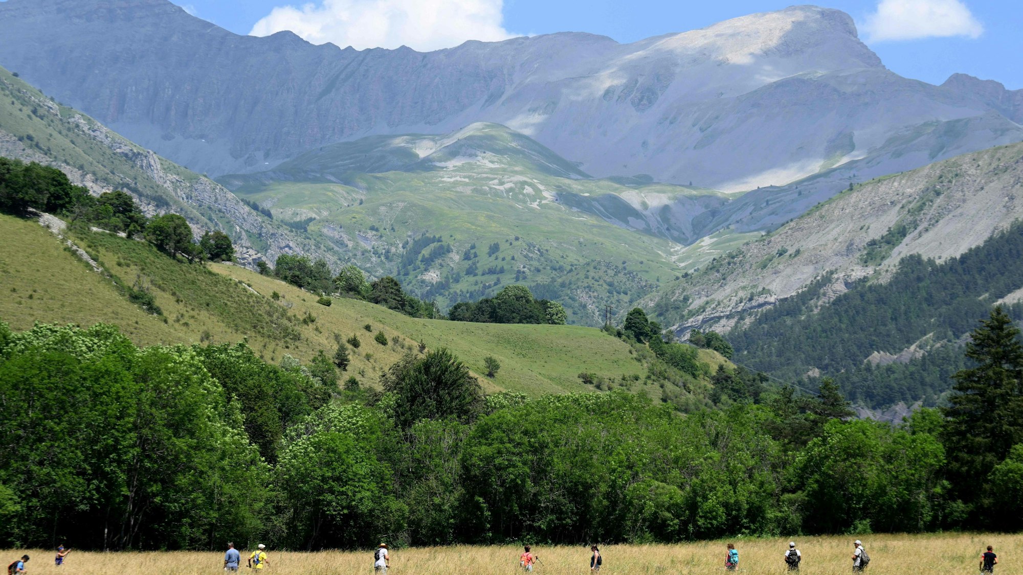 Freiwillige Helfer und Helferinnen suchen ein Feld vor einer Bergkulisse ab.