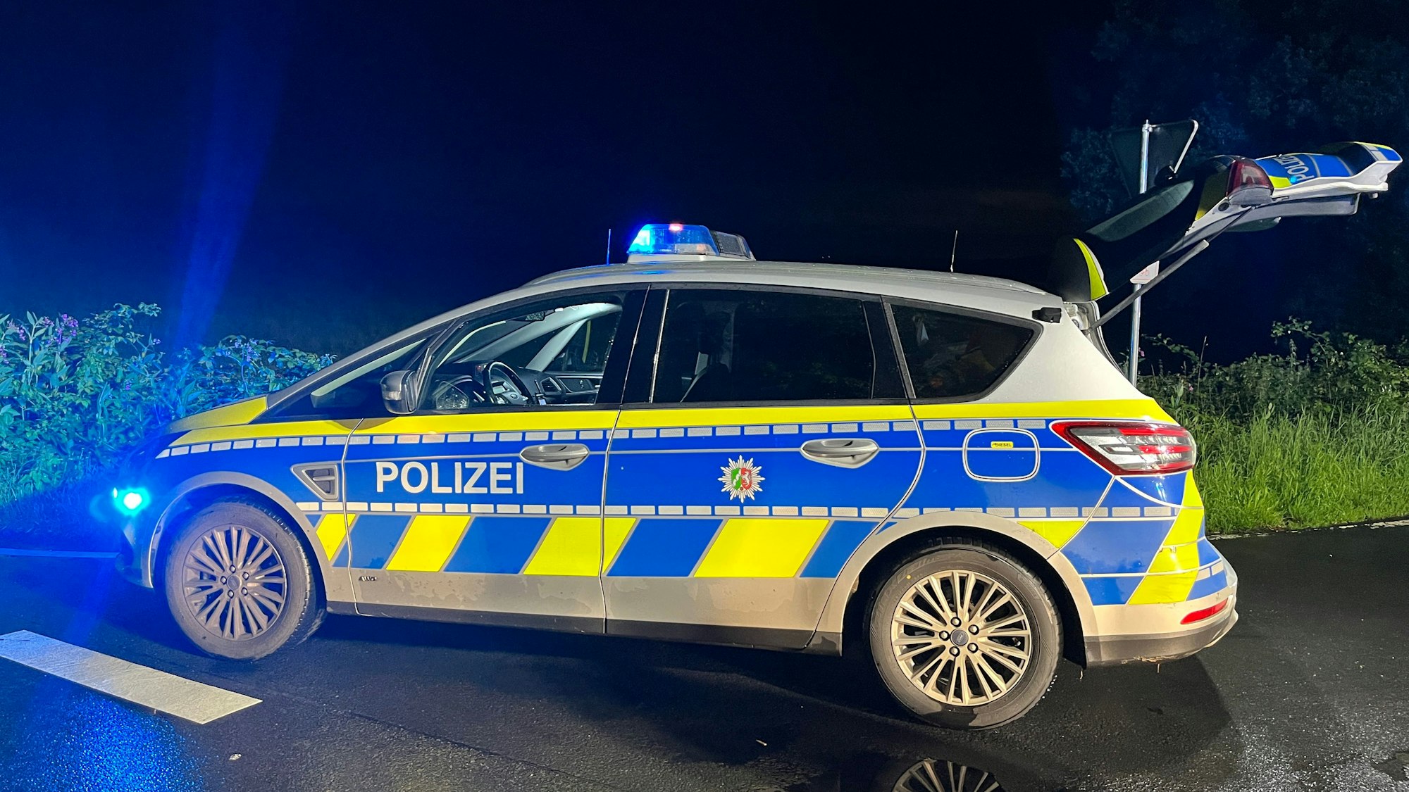 Ein Streifenwagen steht mit eingeschaltetem Blaulicht bei Nacht vor einer Grünfläche auf der Straße.