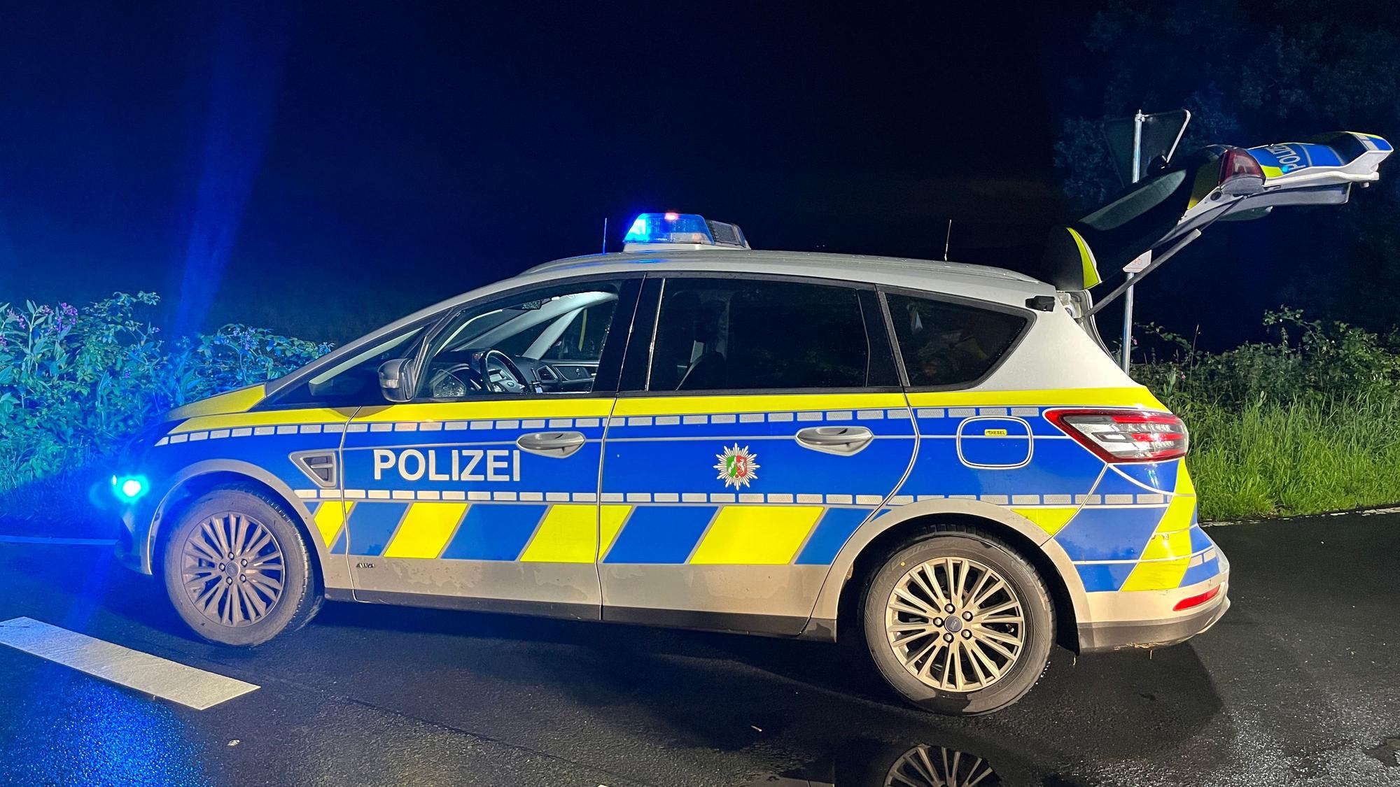 Ein Streifenwagen stehtmit eingeschaltetem Blaulicht bei Nacht vor einer Grünfläche auf der Straße.