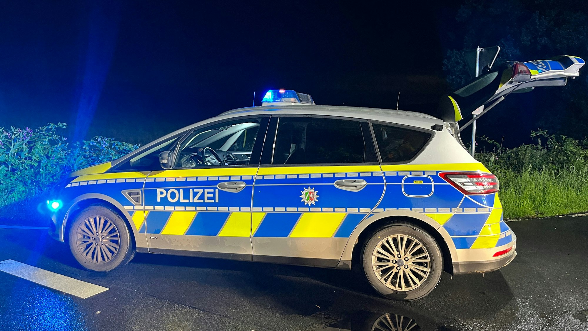 Ein Streifenwagen stehtmit eingeschaltetem Blaulicht bei Nacht vor einer Grünfläche auf der Straße.