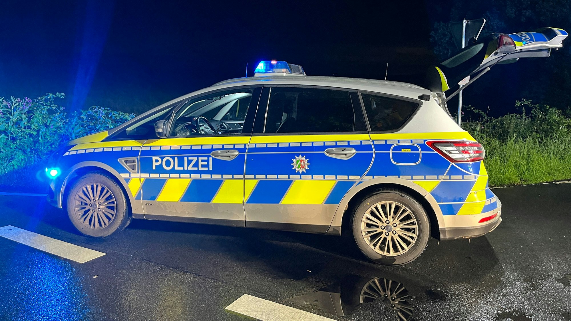 Ein Streifenwagen steht mit eingeschaltetem Blaulicht bei Nacht vor einer Grünfläche auf der Straße.