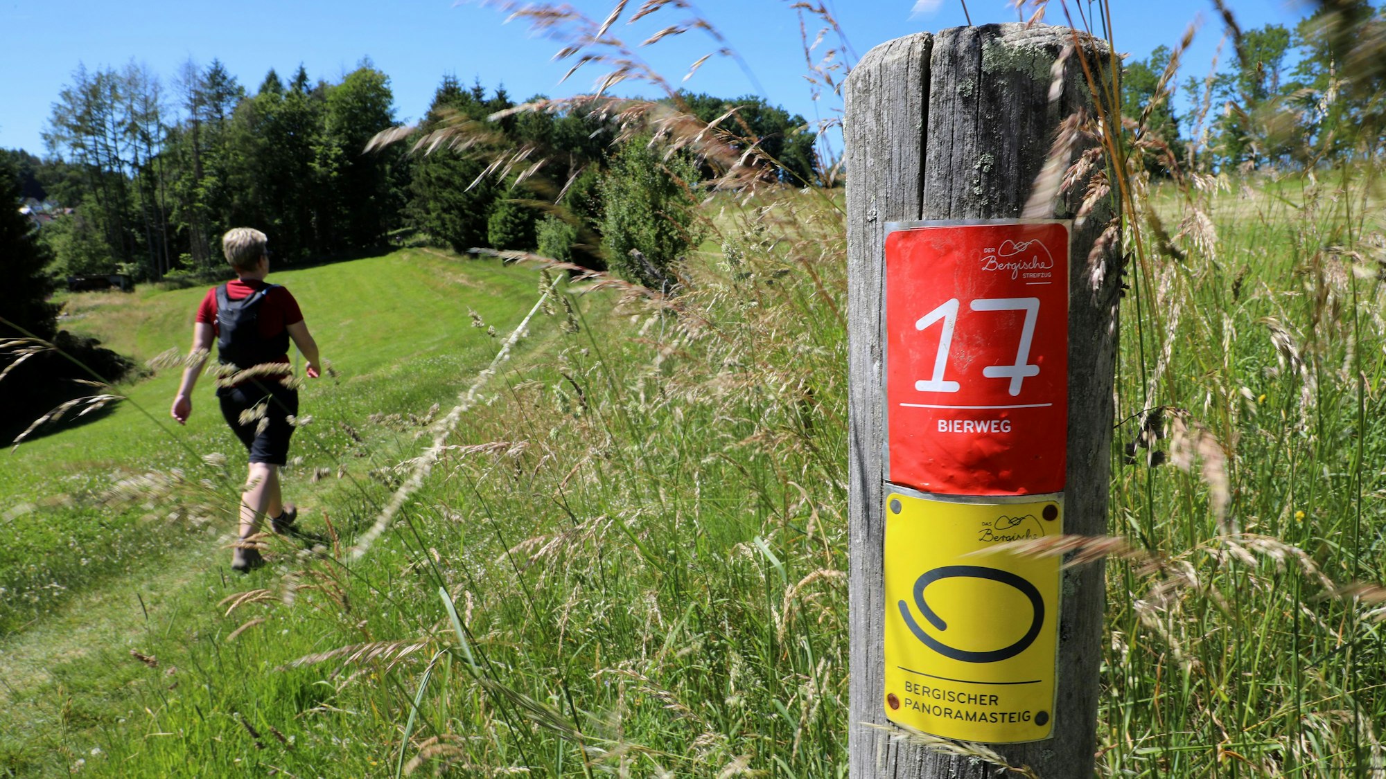 Eine Wanderin wandert über einen Wiesenweg an einem Pfosten mit den Markierungen des Bierwegs und des Bergischen Panoramasteigs vorbei.