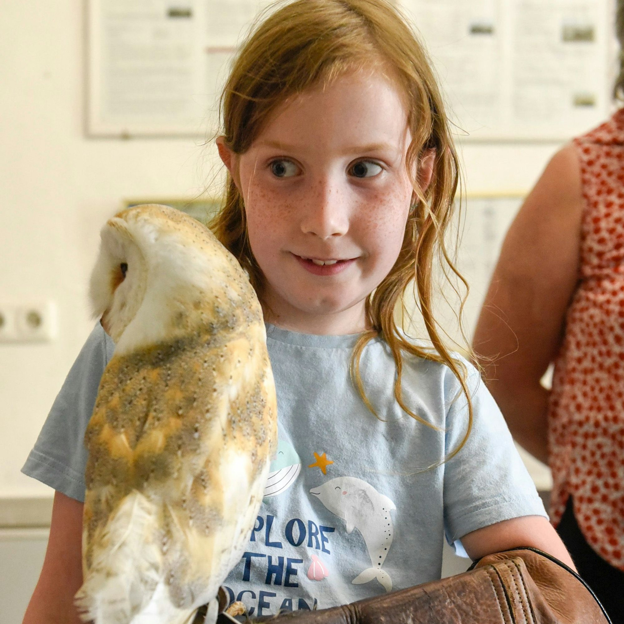 Ein Mädchen schaut auf eine Schleiereule.