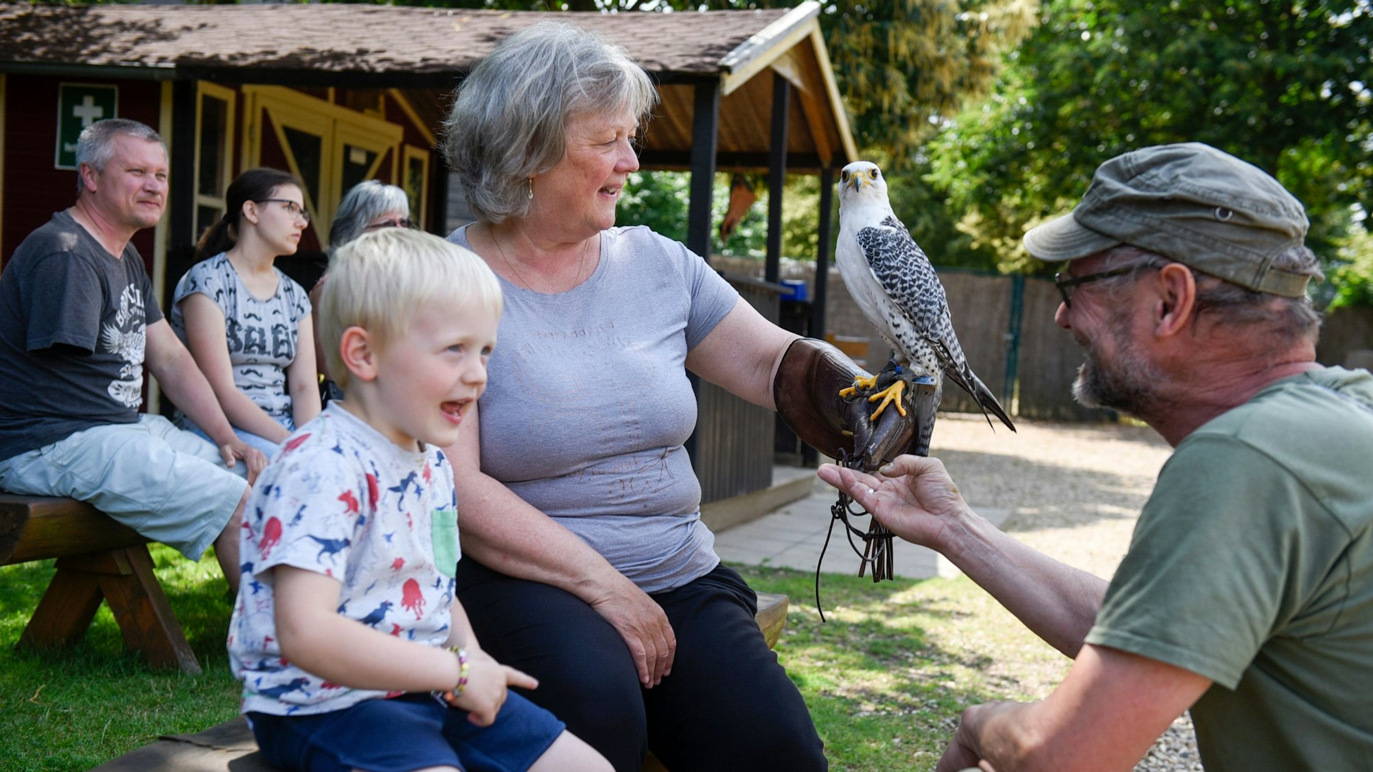 Ein Falkner hat einer Frau einen Greifvogel auf die Hand gesetzt. Ein kleiner Junge schaut zu.