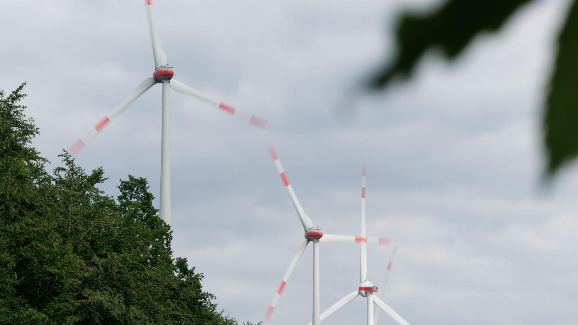 Über einem Wald drehen sich Windräder. Solche Anlagen könnten auch auf dem Nutscheid-Höhenzug zwischen Waldbröl, Windeck und Ruppichteroth entstehen.