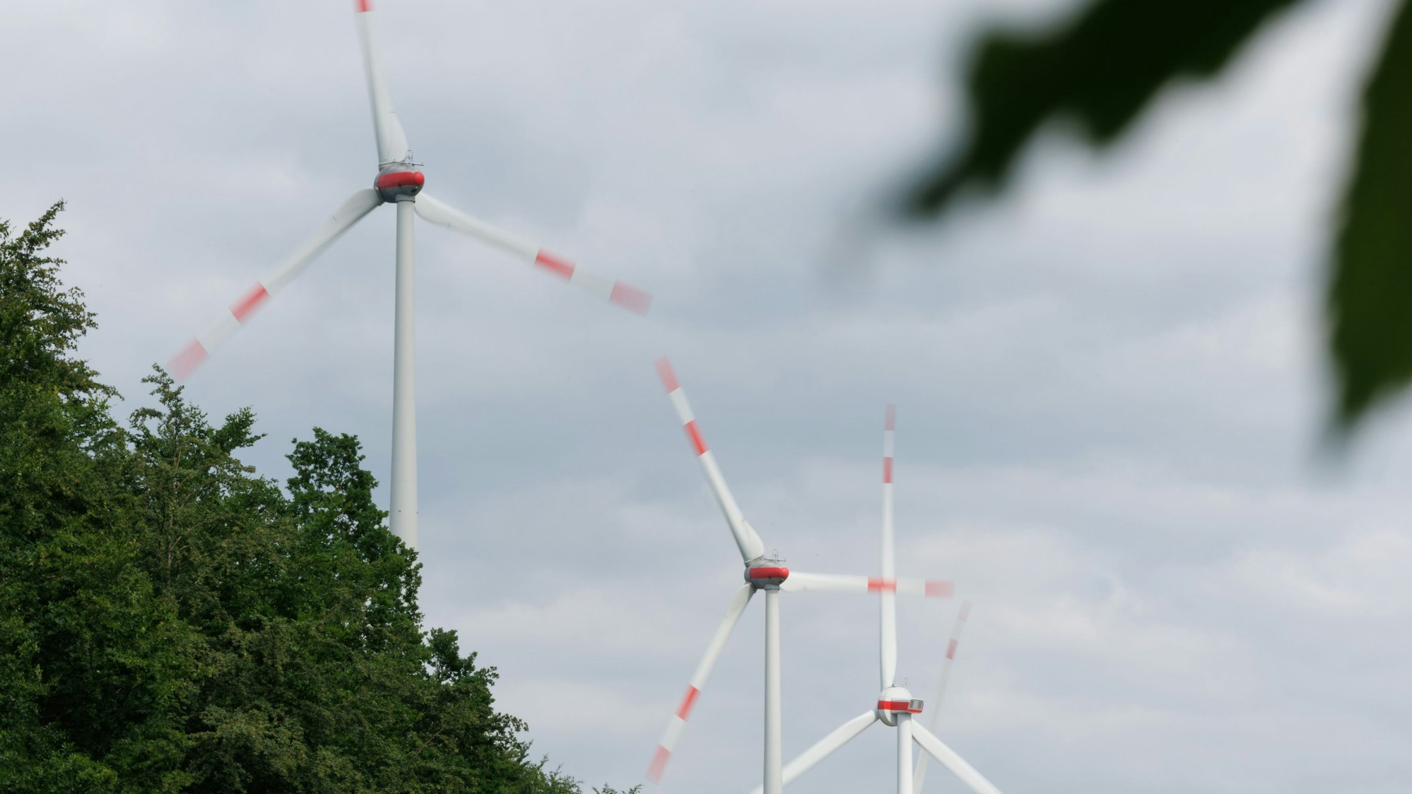 Über einem Wald drehen sich Windräder. Solche Anlagen könnten auch auf dem Nutscheid-Höhenzug zwischen Waldbröl, Windeck und Ruppichteroth entstehen.