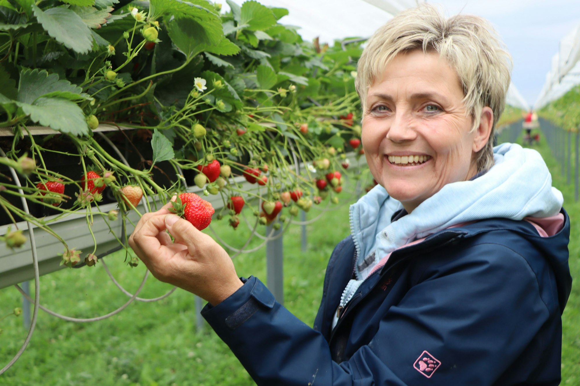 Am liebsten isst Irmgard Hensen die roten Früchte direkt vom Busch.