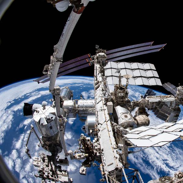 Eine Aufnahme aus der Kamera des Nasa-Astronauten Thomas Marshburn zeigt die Internationale Raumstation ISS und die Erde darunter.
Auf dieser Internationalen Raumstation ISS waren Blumensamen, die später von Kindern ausgesät wurden.