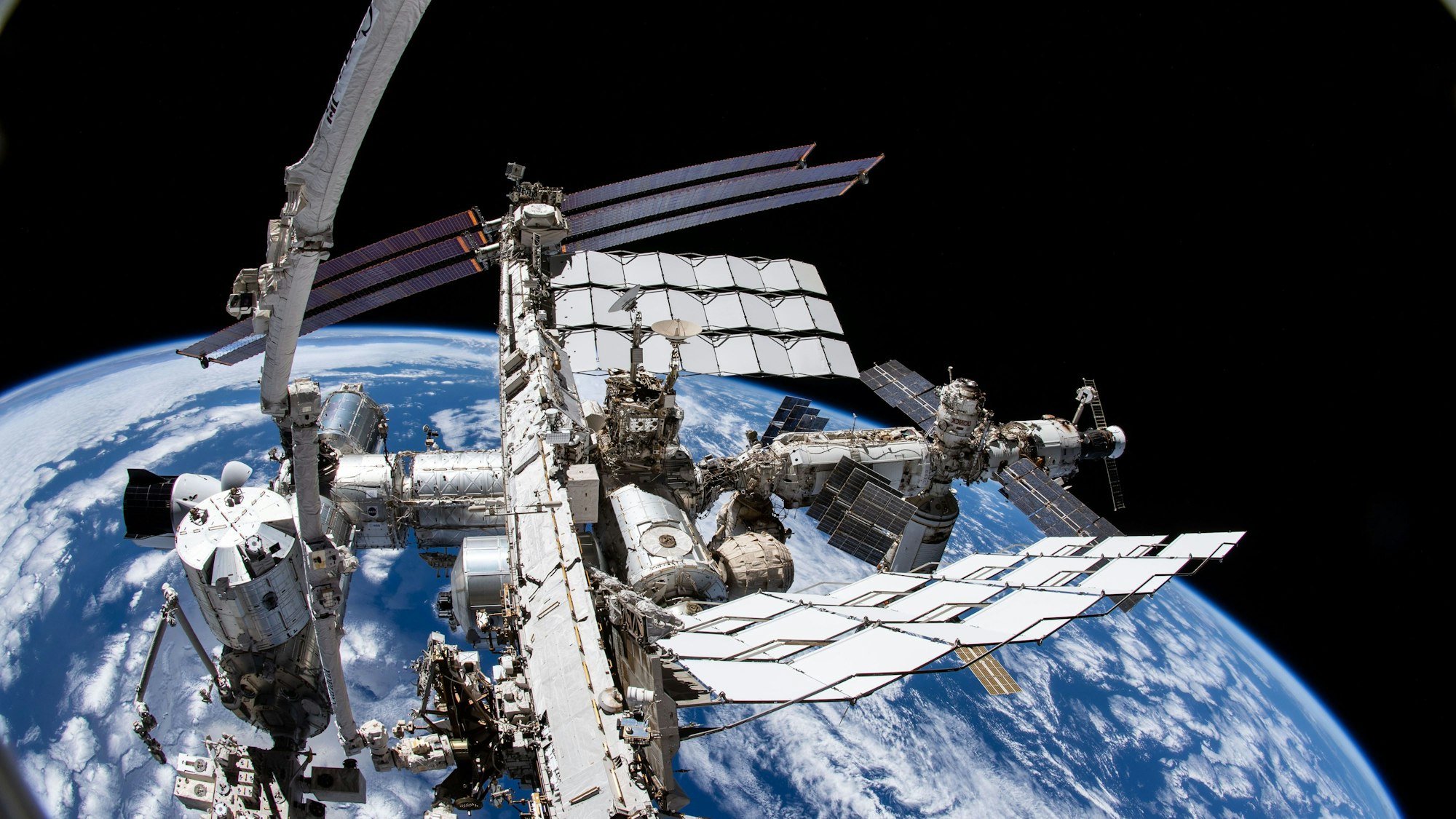 Eine Aufnahme aus der Kamera des Nasa-Astronauten Thomas Marshburn zeigt die Internationale Raumstation ISS und die Erde darunter.
Auf dieser Internationalen Raumstation ISS waren Blumensamen, die später von Kindern ausgesät wurden.