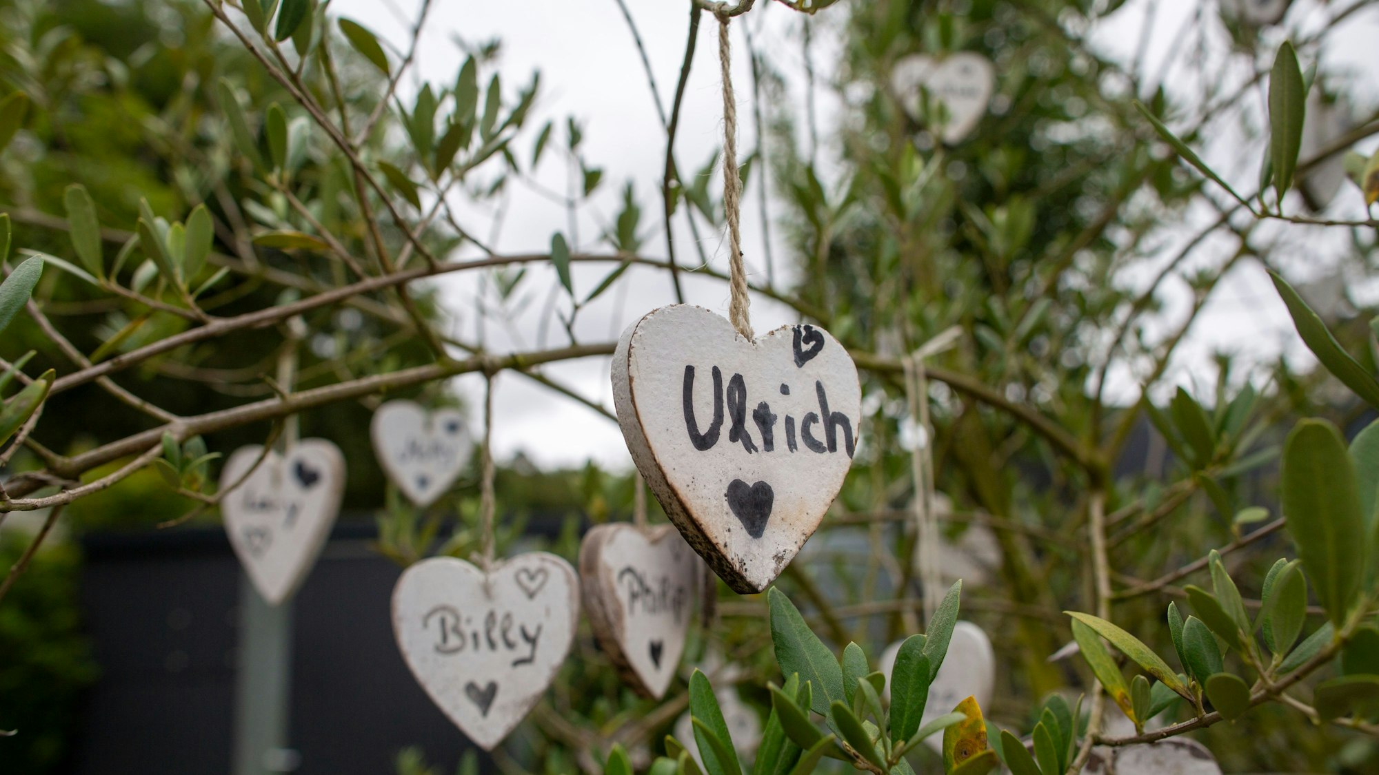 Herzen mit Namen hängen an einem Baum.