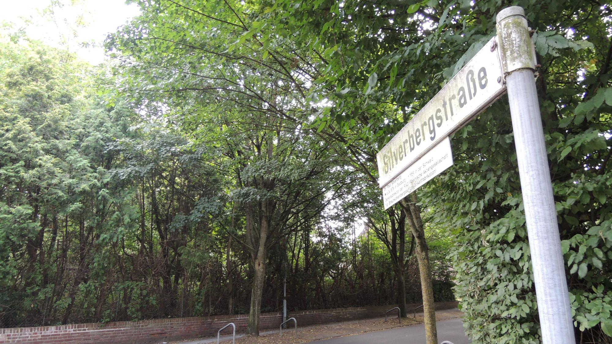 Ein Straßenschild steht an einer Straße mit vielen grünen Bäumen.