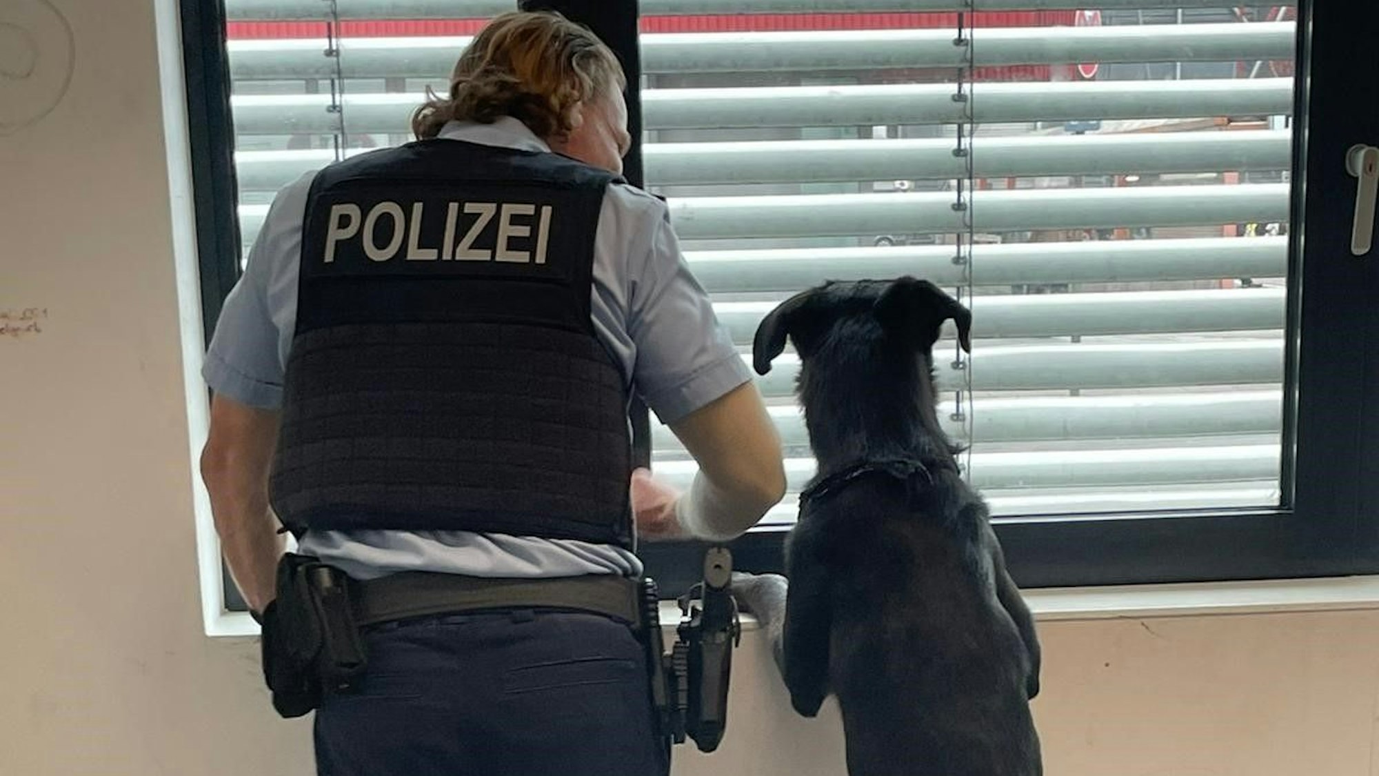 Die Bundespolizei hat den Hund in Empfang genommen.