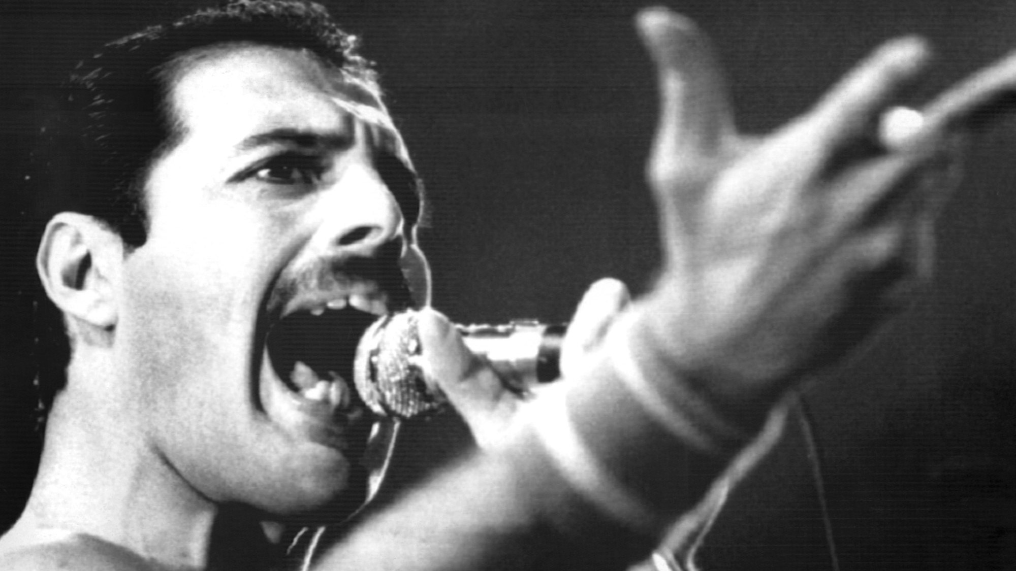 Freddie Mercury, Leadsänger der britischen Rockgruppe Queen, bei einem Auftritt im September 1984.