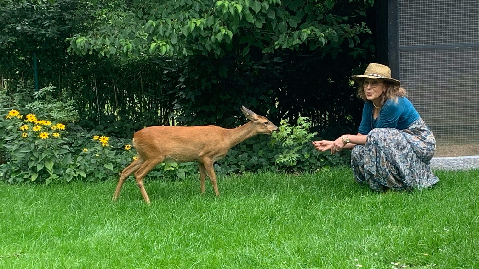 Eine Frau füttert ein Reh im Garten.