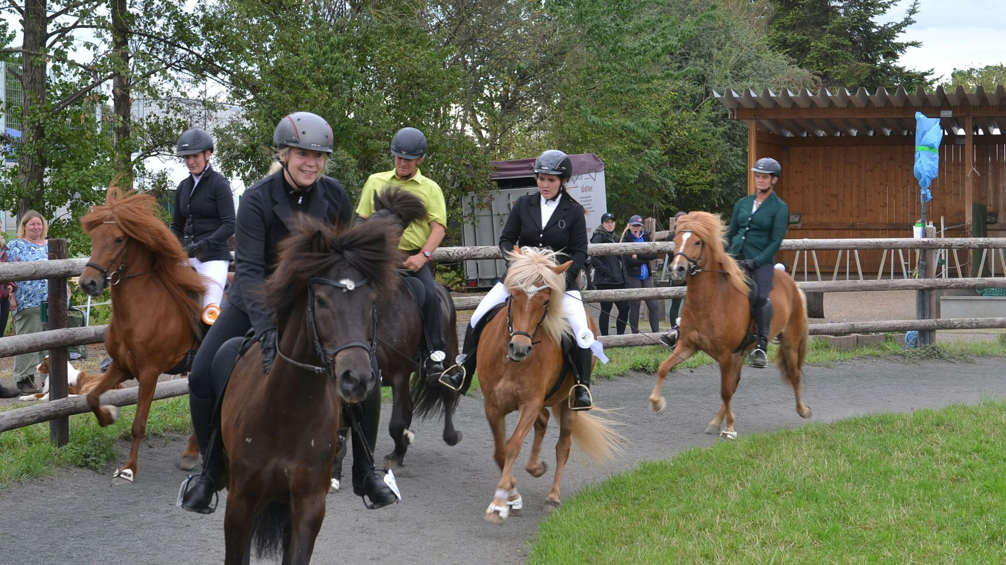 Das Bild zeigt fünf Islandpferde mit ihren Reitern bei den NRW-Meisterschaften auf der Ovalbahn in Wißkirchen.