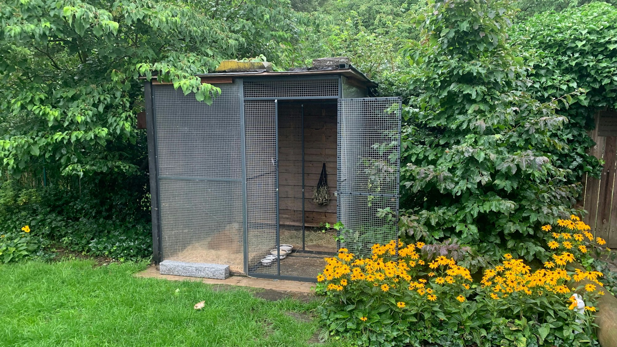 Ein großer Käfig steht mit geöffneter Tür in einem Garten.