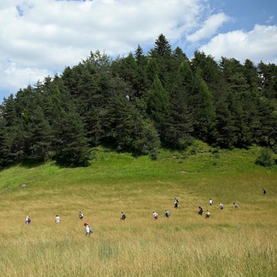 Freiwillige und Polizei suchen bei Le Vernet nahe der französischen Alpen nach dem vermissten Zweijährigen Émile in einem großen Feld und einem Waldstück. Im Hintergrund sind die französischen Alpen zu sehen.