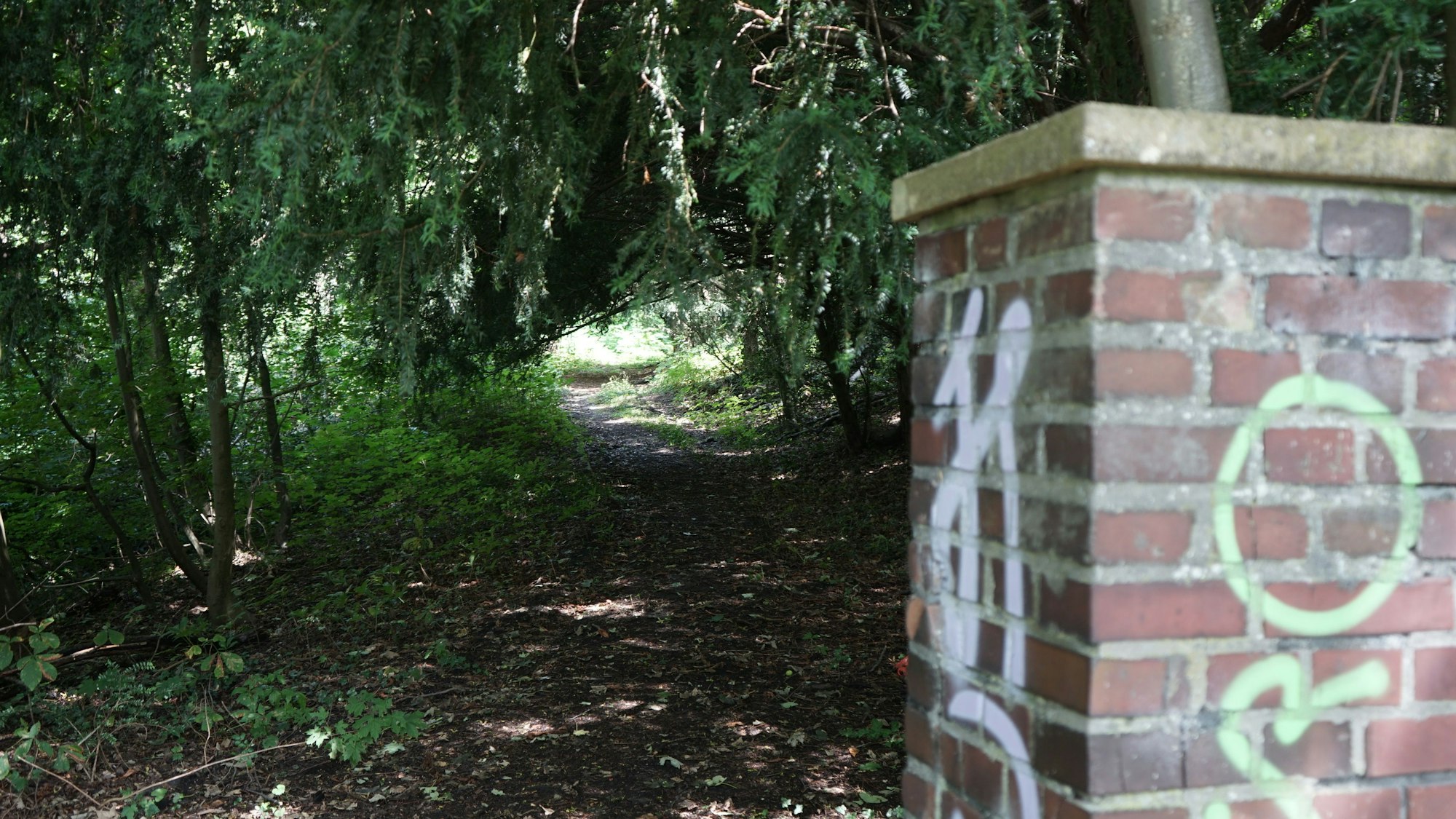 Das Bild zeigt ein mit Graffiti beschmiertes Backsteintor und dahinter einen Waldweg.