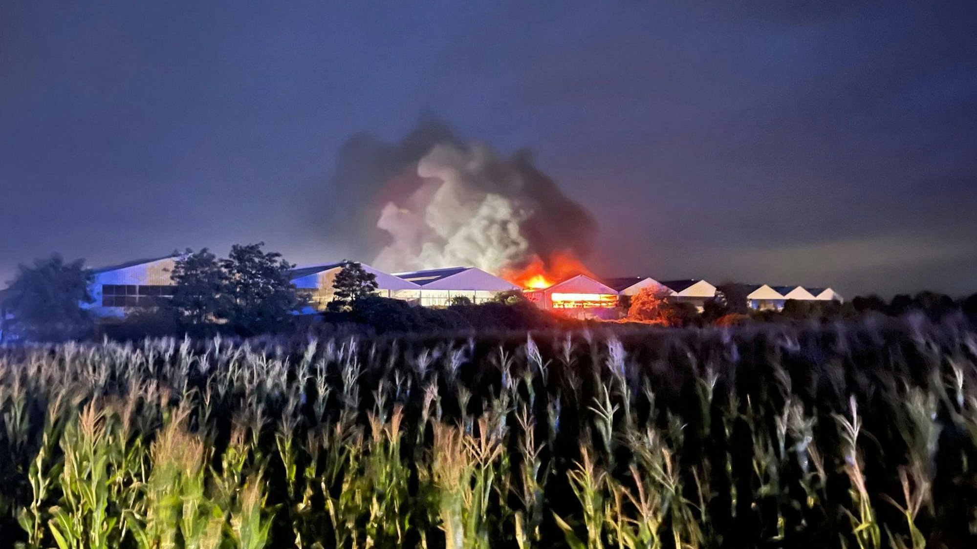 Der Brand in der Lagerhalle der Papierfabrik in Swisttal war am frühen Montagmorgen schon von Weitem zu sehen.