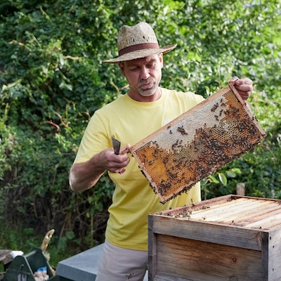 Imker Oliver Tretbar hält eine Wabe mit Bienen in beiden Händen.
