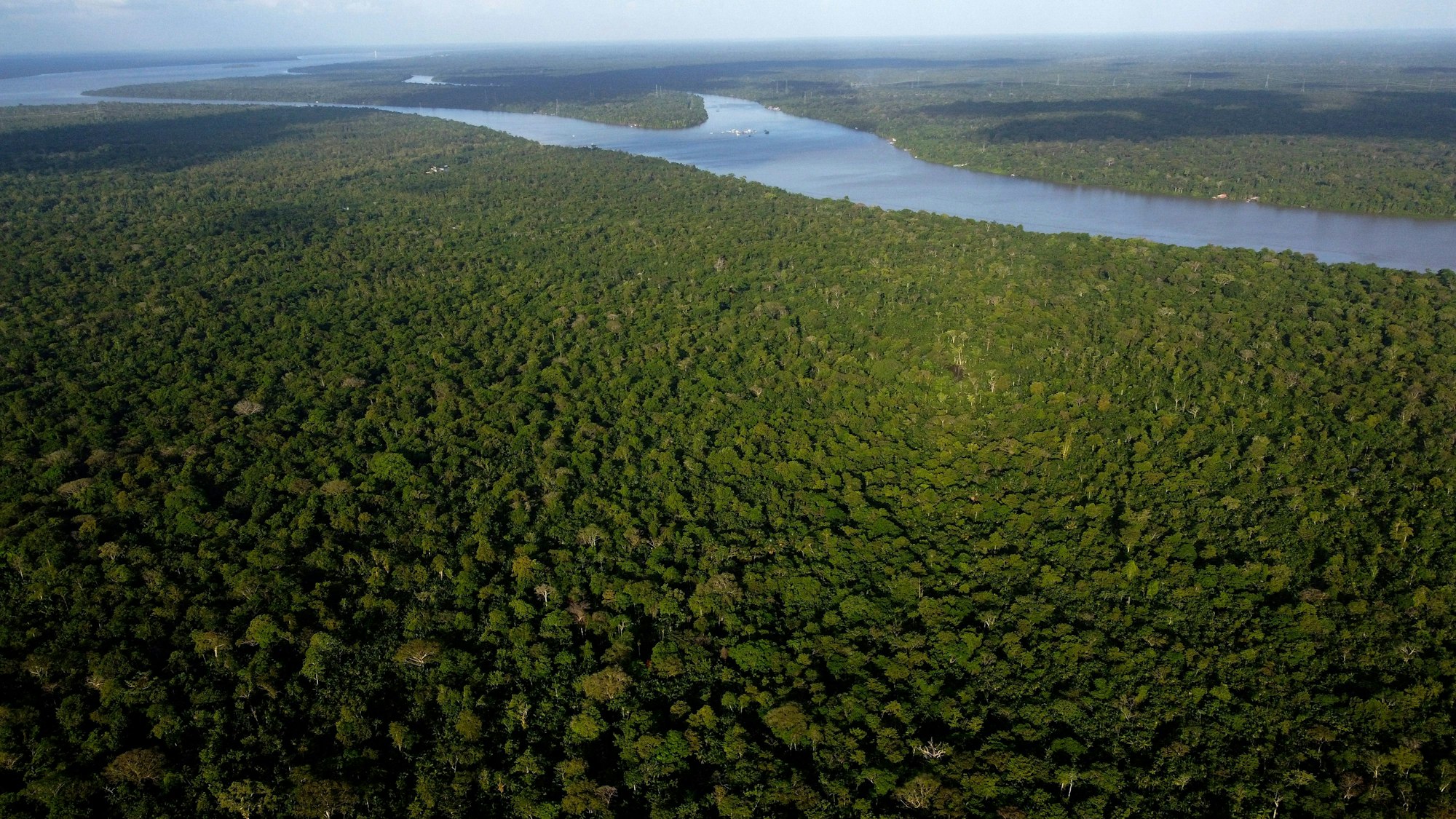 Belem: Blick auf den Wald auf der Insel Combu am Ufer des Flusses Guama in der Nähe der Stadt Belem.