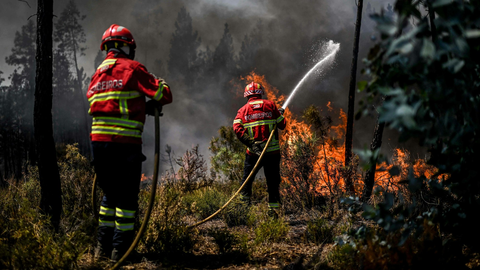 TOPSHOT - Firefighters battle a wildfire in Carrascal, Proenca a Nova on August 6, 2023. More than 1,000 firefighters battled a wildfire in central Portugal today as officials warned that thousands of hectares were at risk amid soaring temperatures across the country. (Photo by Patricia DE MELO MOREIRA / AFP)