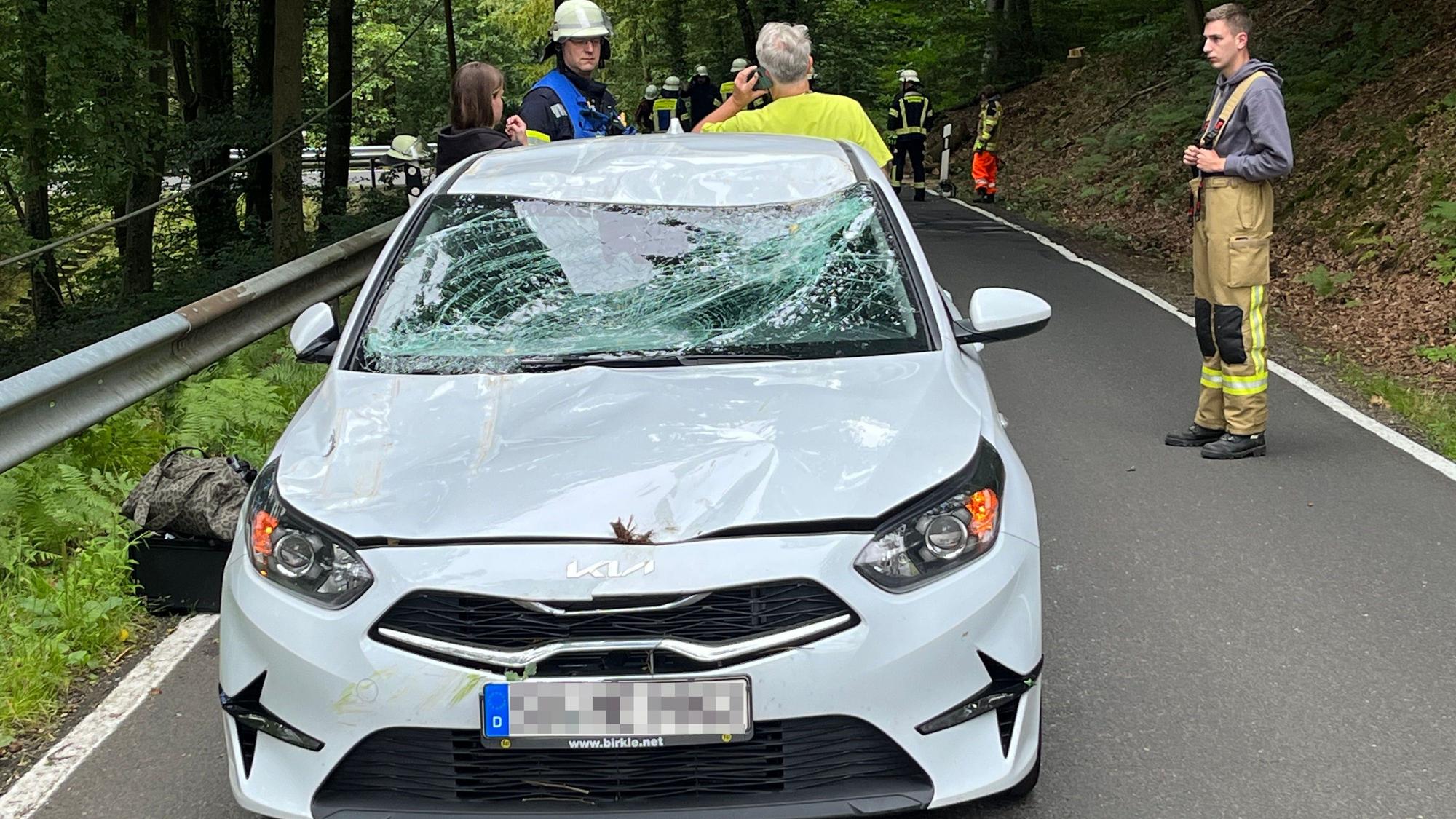 In der Nähe der Gammersbacher Mühle fiel ein Baum auf das Auto einer 20-Jährigen, sie blieb unverletzt. Dach, Windschutzscheibe und Motorhaube sind stark beschädigt.