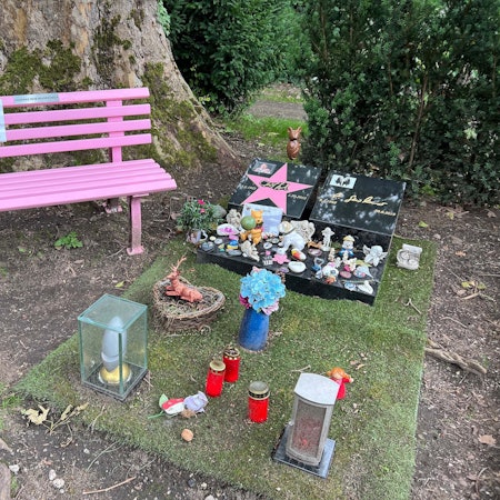 Das Grab von Dirk Bach nebst Bank auf dem Kölner Melatenfriedhof.