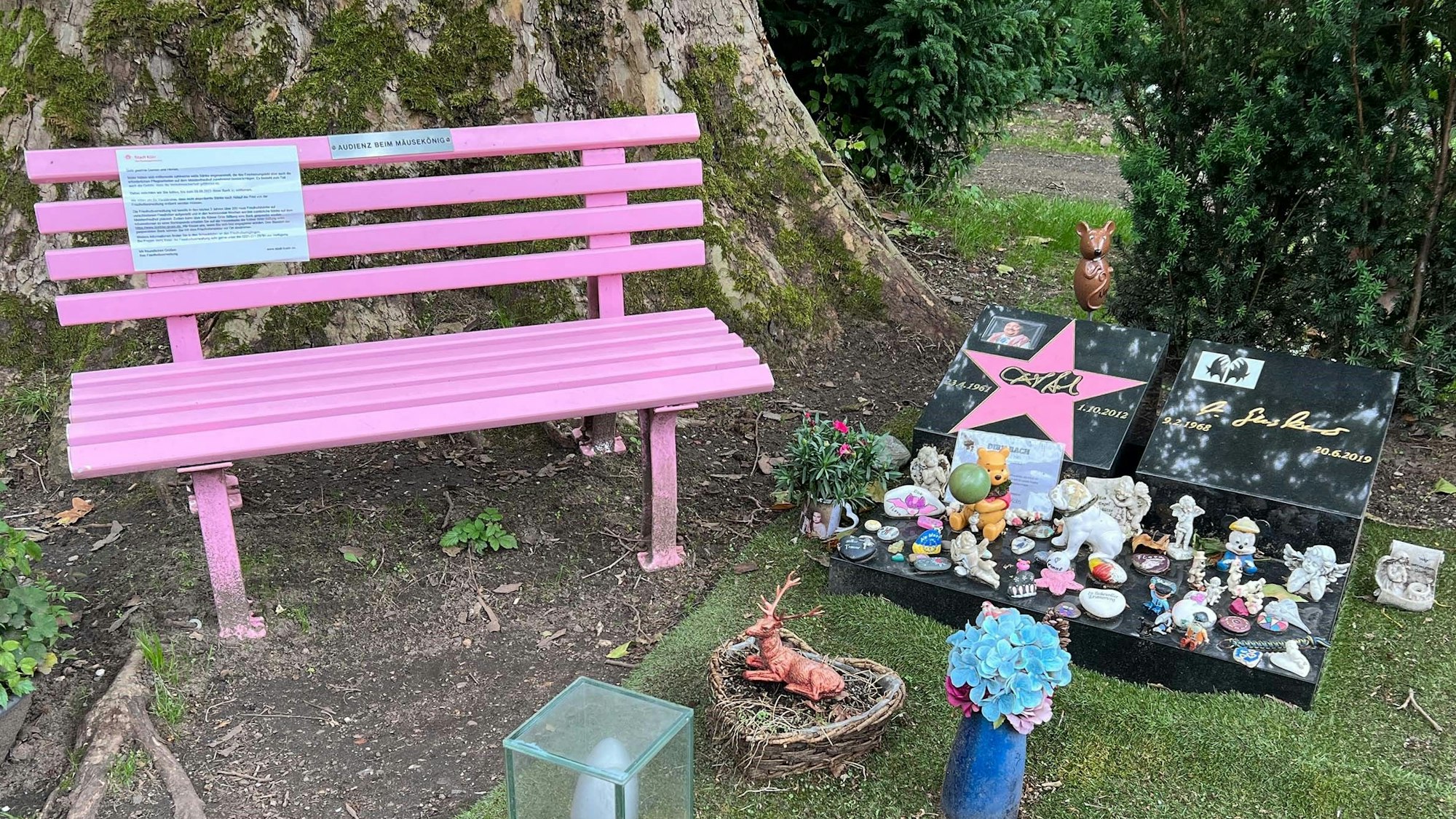 Das Grab von Dirk Bach nebst Bank auf dem Kölner Melatenfriedhof.